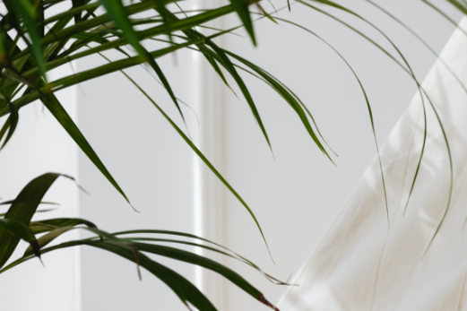 Creating a Home That Feels Like a Sanctuary