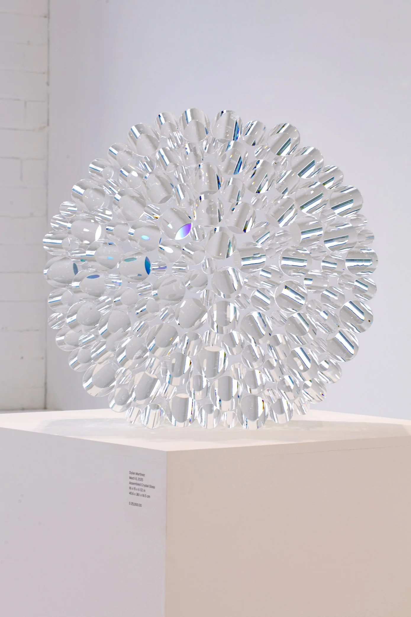 Mach 8, 2025 Photo by Suzy Gorman