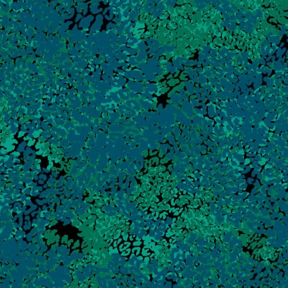 PATTERN 2 PROJECT 1.jpg