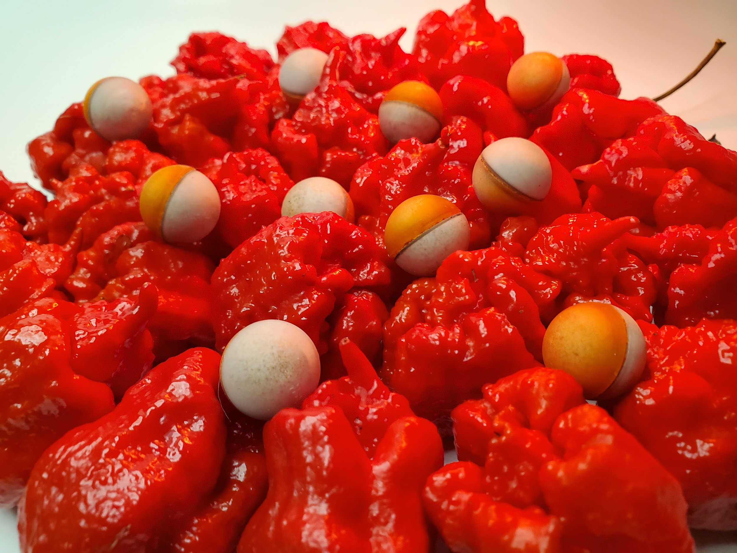 JawDroppers PKS68 .68 Cal Pointed Slug 10g D Shaped Finned FSC