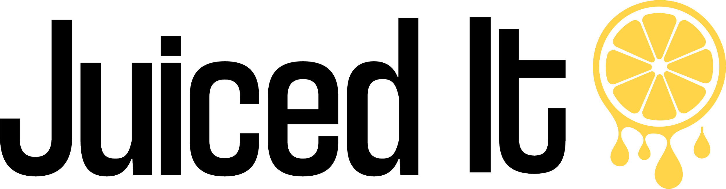 Logo Black Text Yellow Icon.png