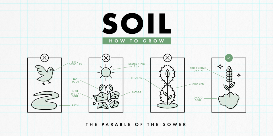 Soil-960x480.png