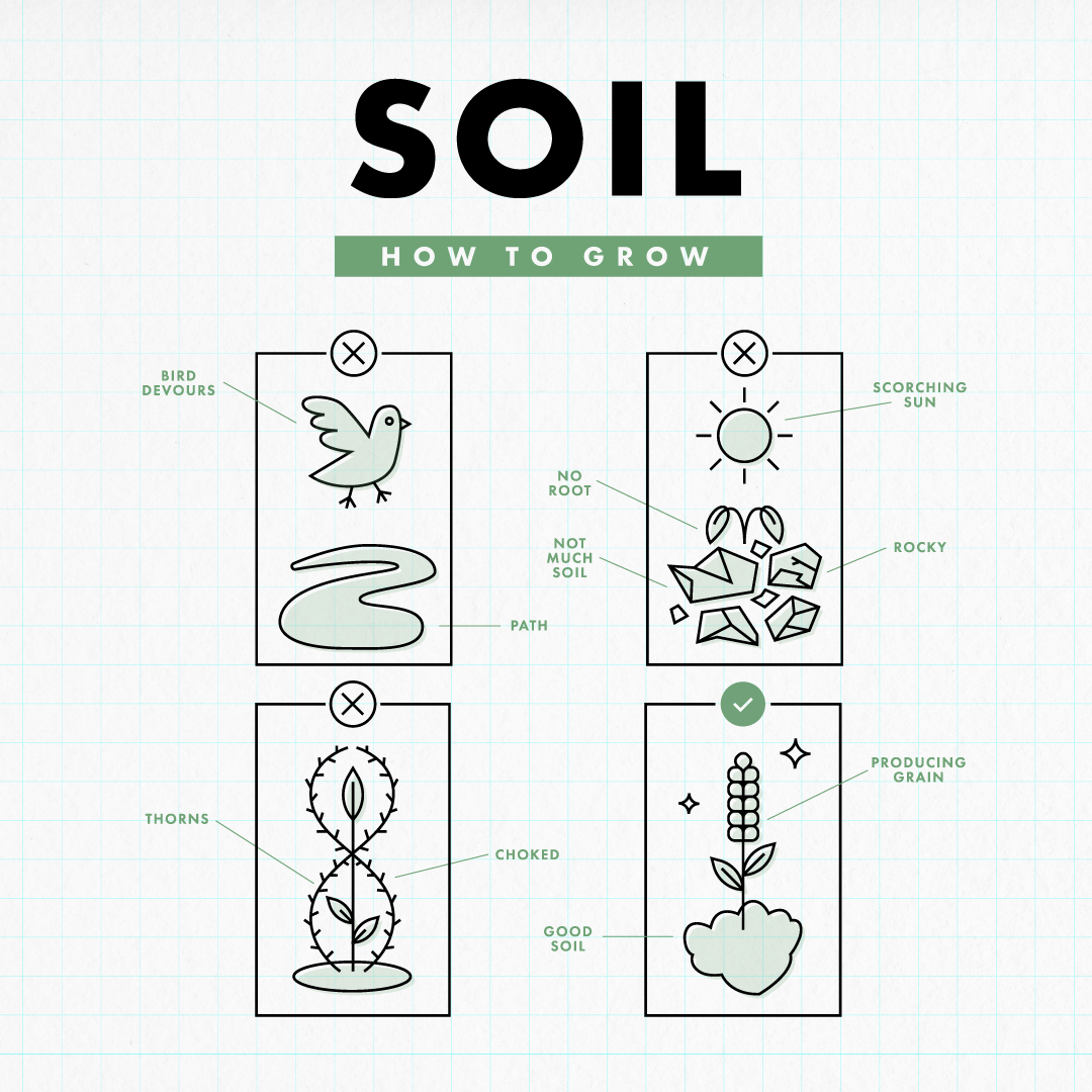 Soil-1080x1080.png