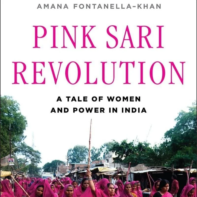 pink sari revolution .jpg