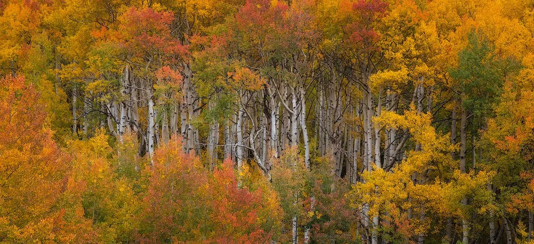 DukeAspen HoleTB.jpg
