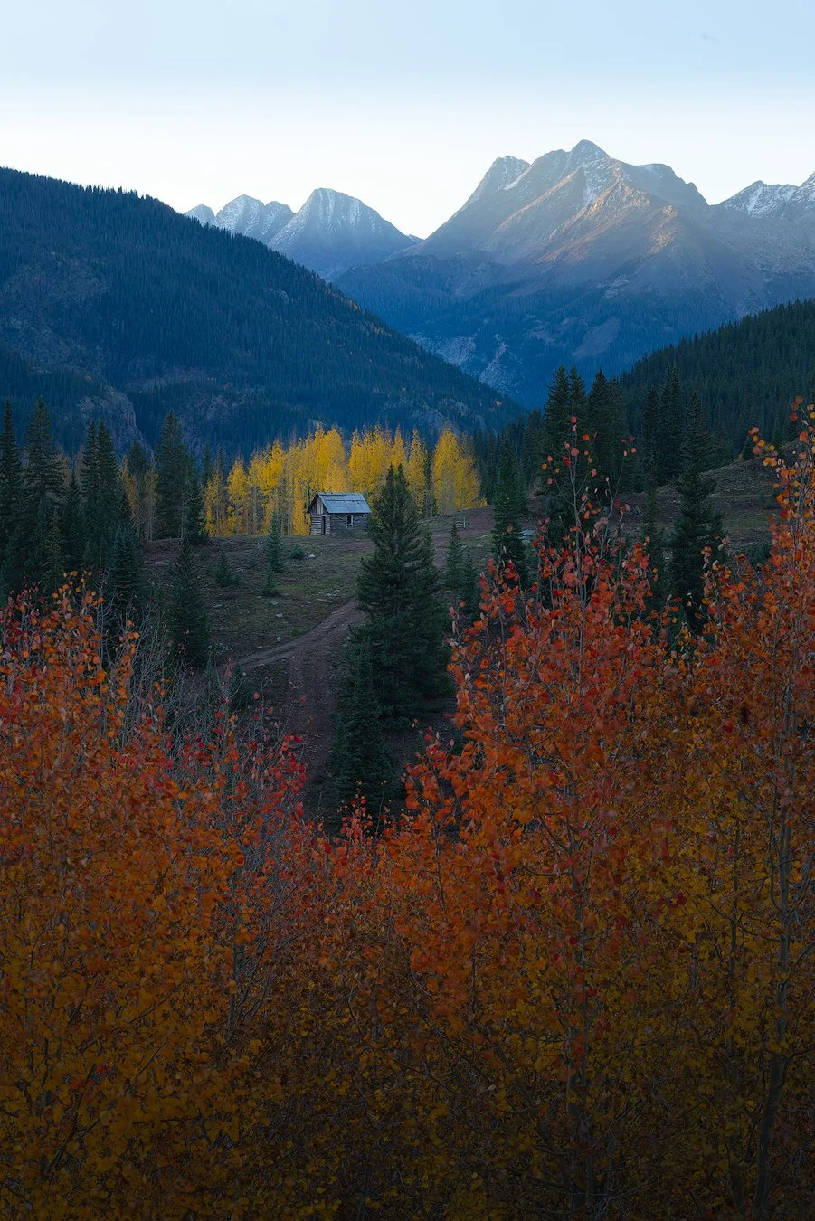 DukeMolas Cabin 2TB.jpg