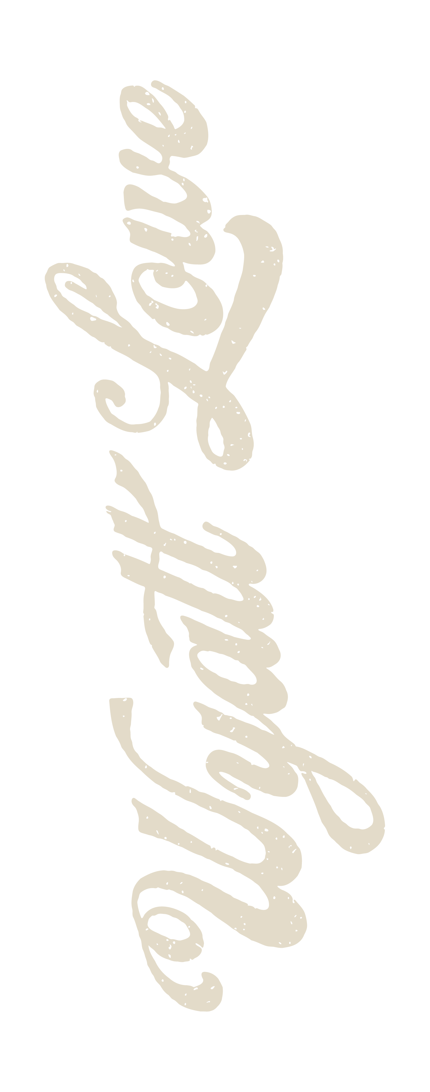 Wyatt Lowe Name Logo White