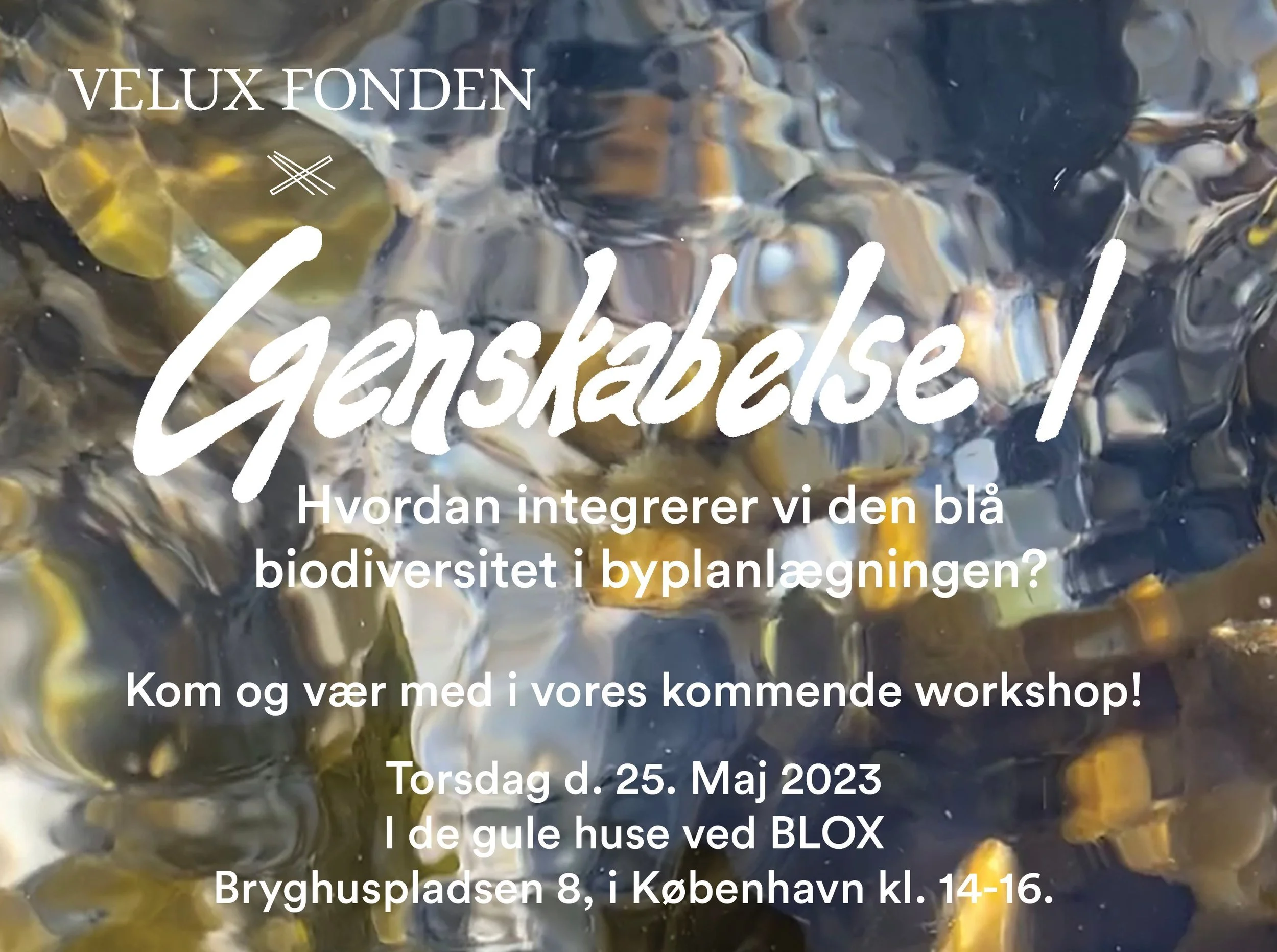 Facilitator og tilrettelægger af tværfaglig workshop om blå biodiversitet - Genskabelse 1+2 / Veluxfonden / Maj-Juni 2023