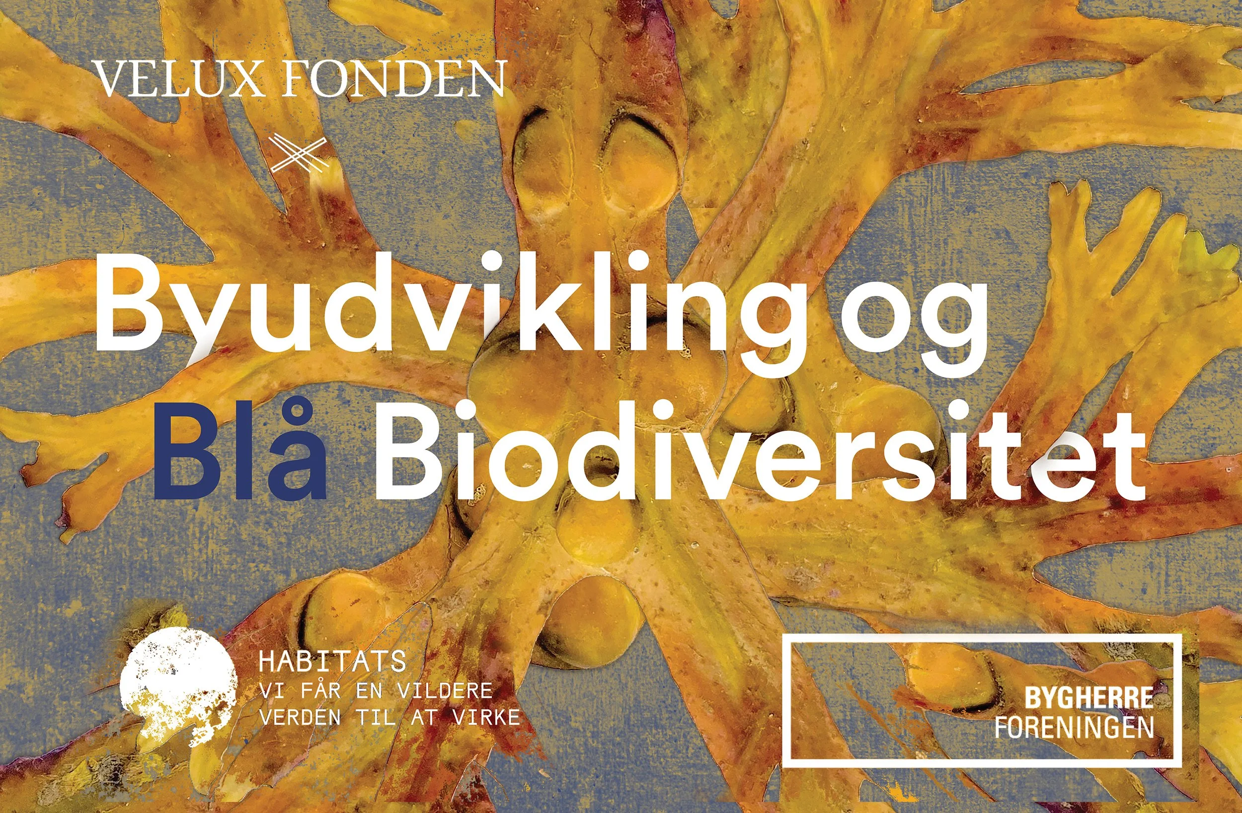 Tilrettelægger, redaktør og vært / Podcastserie om byudvikling og blå biodiversitet / Habitats / 2023–2025
