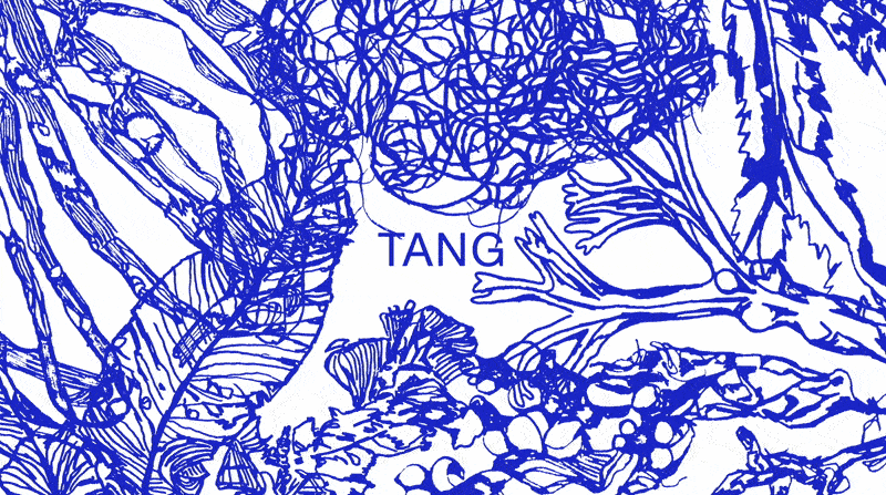 Tang & Naturbaserede Løsninger / En del af udstillingen Delte Vande i Brønshøj Vandtårn og Arkitekturbiennalen i København 2025 / Juni 2025