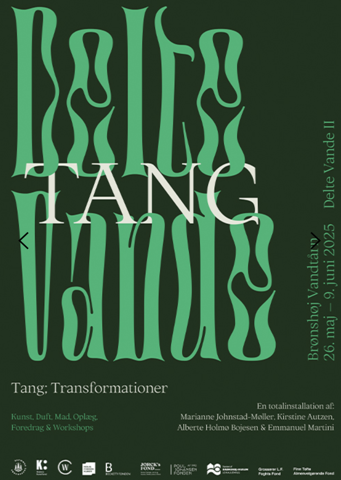 Foredrag / Tang & Naturbaserede løsninger / Brønshøj Vandtårn / Juni 2025