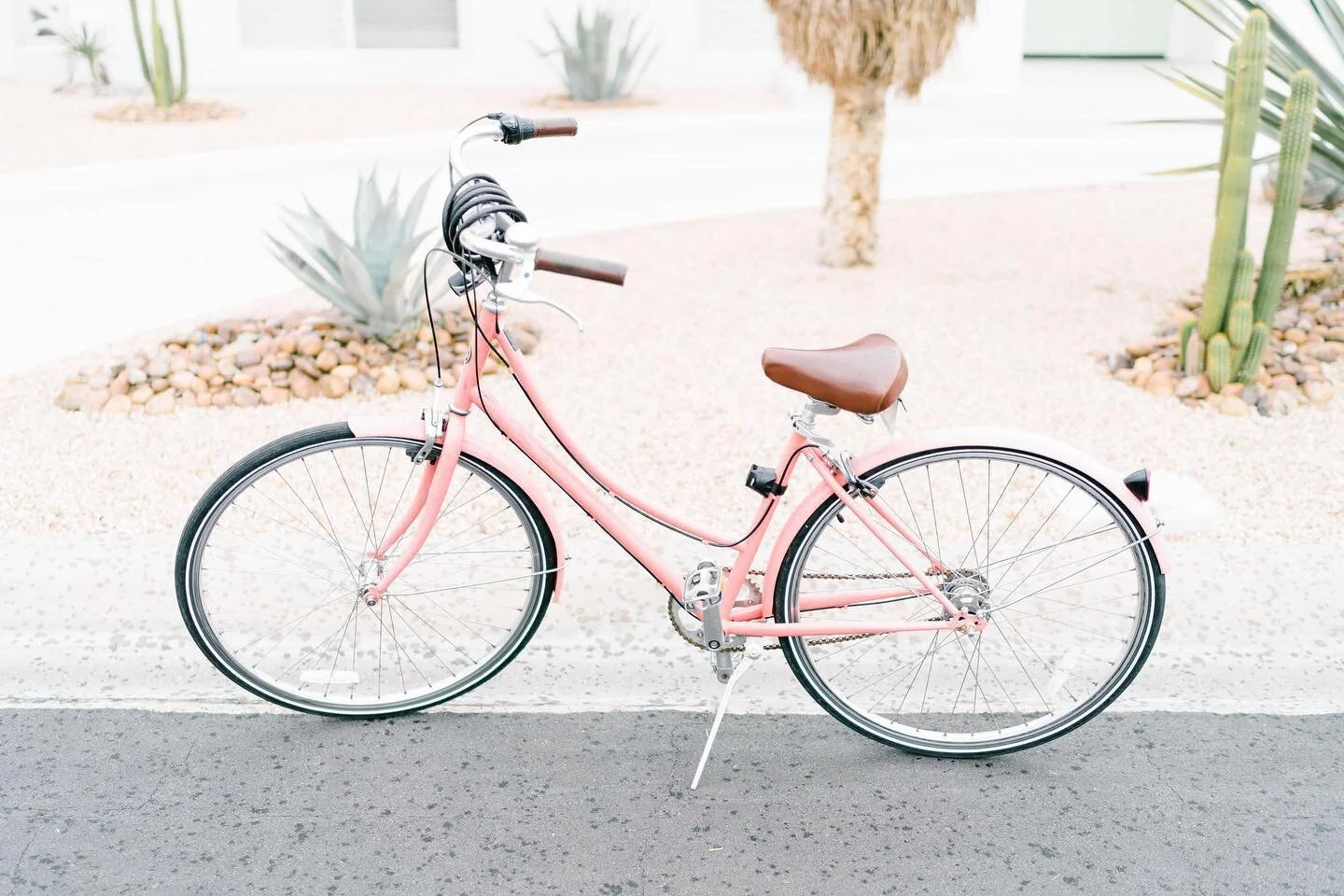 For those of you with winter climates, dare we say it&rsquo;s *officially* biking season?! Get those bikes in for a tune up and get ready to cruise. 🚲