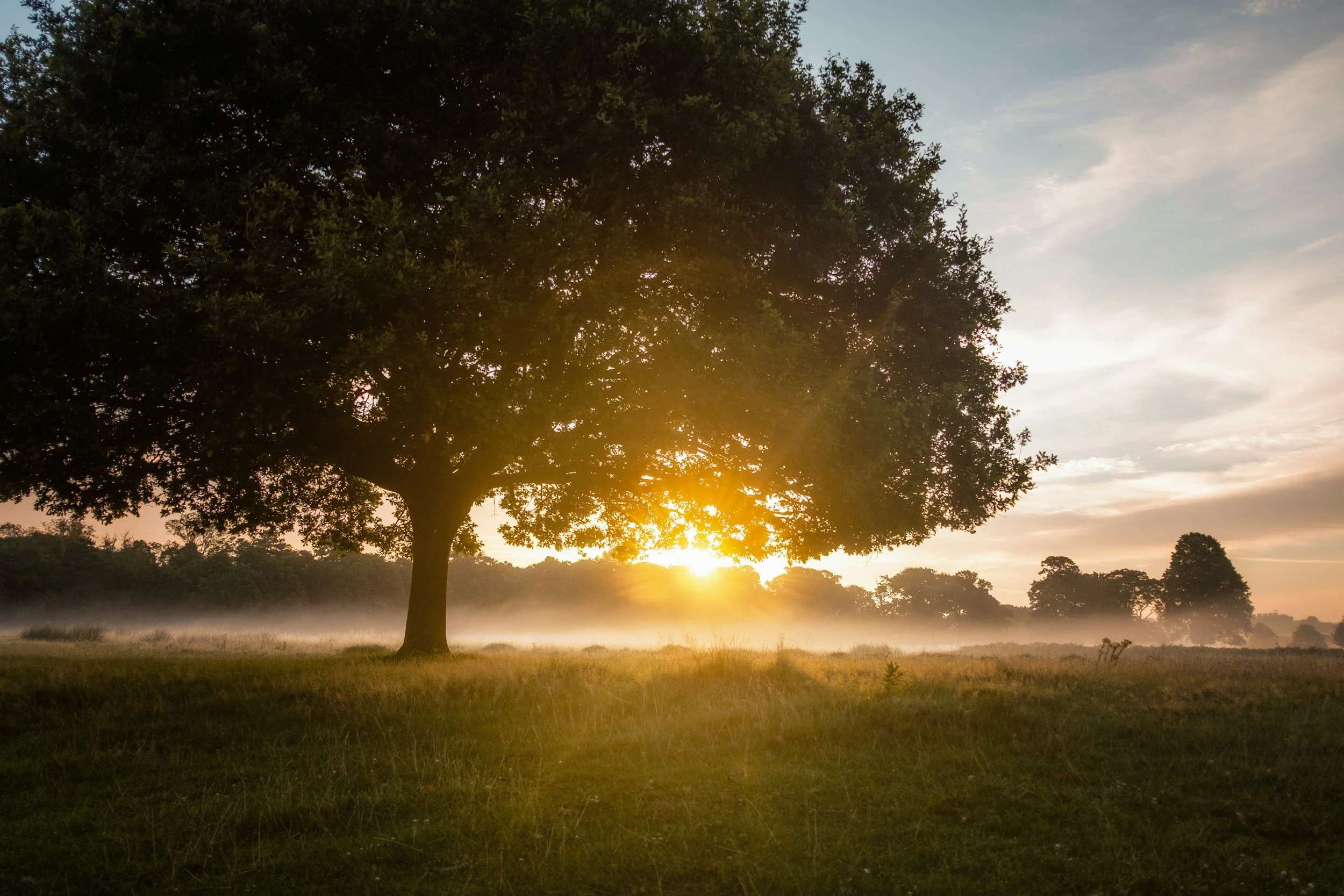 Rising into Radiance in Your Spiritual Community