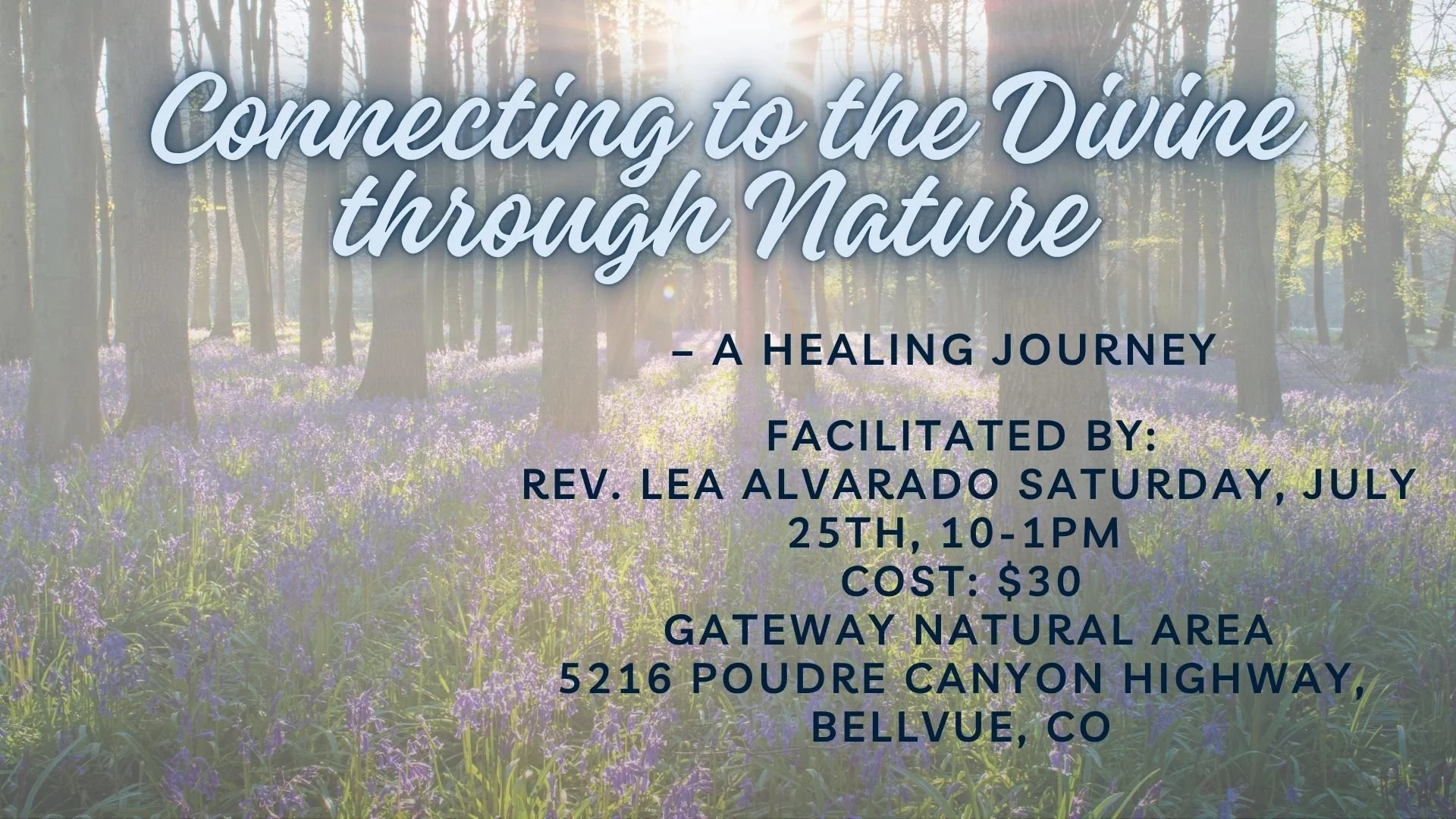 Connecting to the Divine through Nature – A Healing Journey
