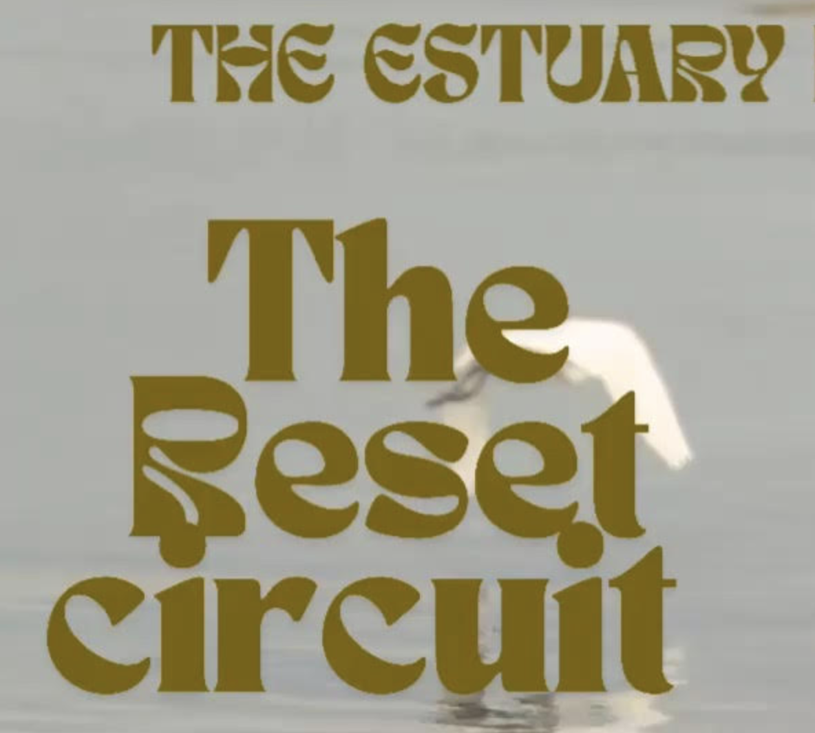The reset circuit (2pm session)