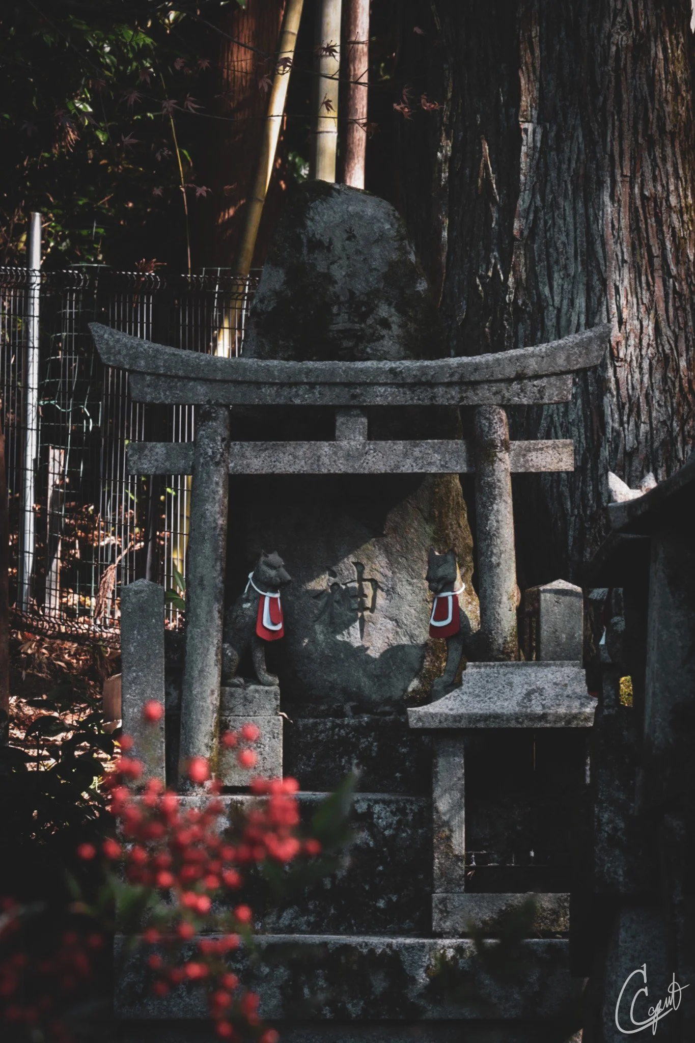 稲荷 - Fukakusa Yabunouchicho, Kyoto, Japan