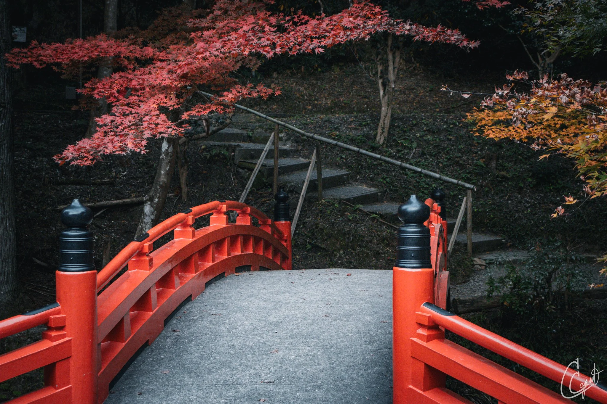 小国神社 - Mori, Shizuoka, Japan
