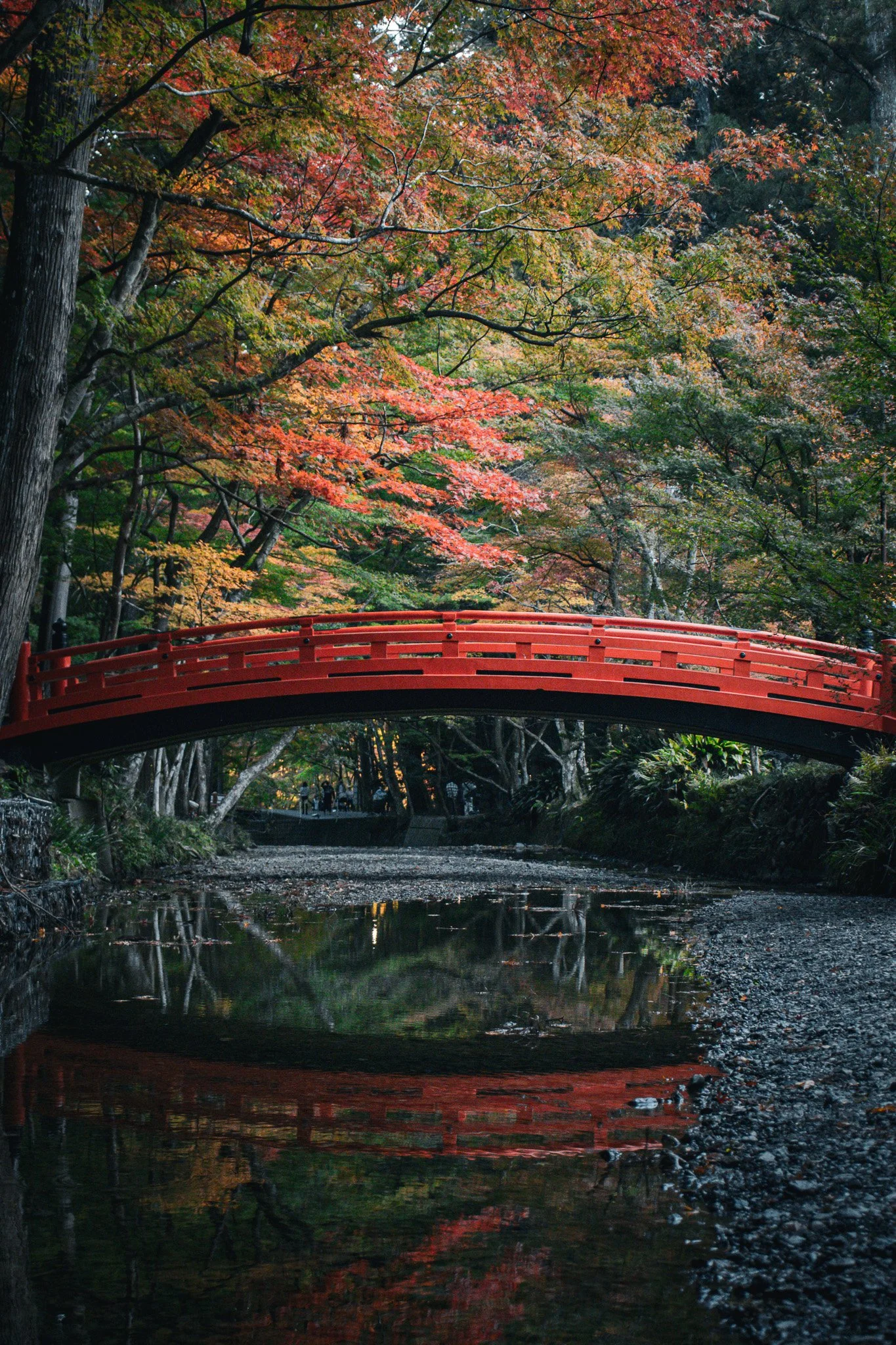小国神社 - Mori, Shizuoka, Japan