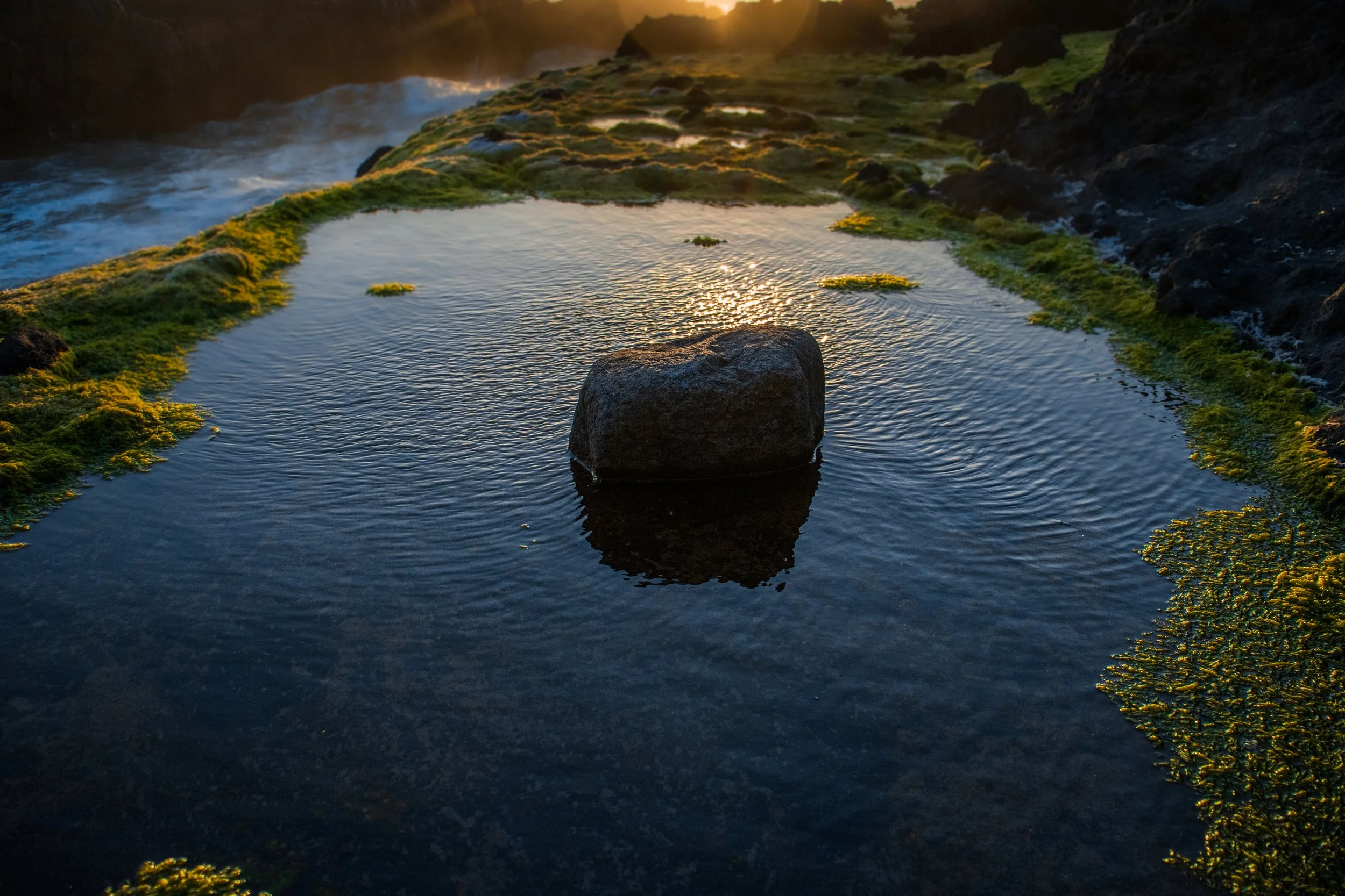 Yachats, Oregon, USA
