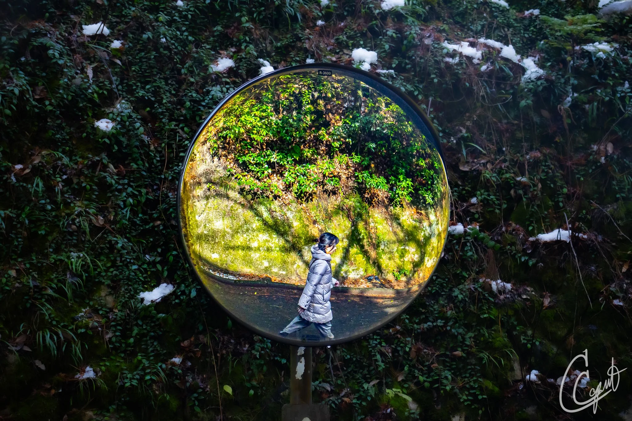 Itsukushima, Hiroshima, Japan