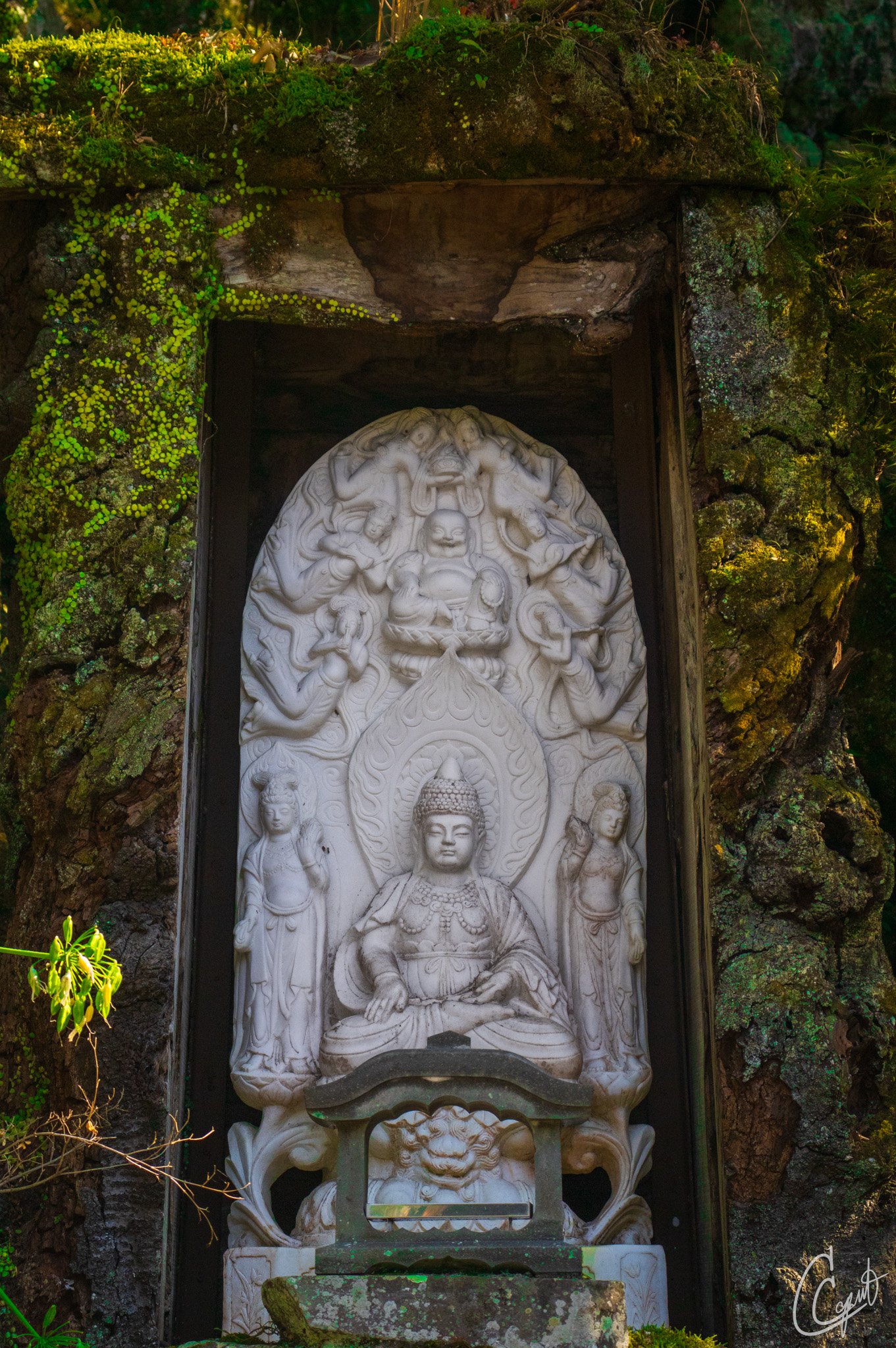 Yugawara, Kanagawa, Japan