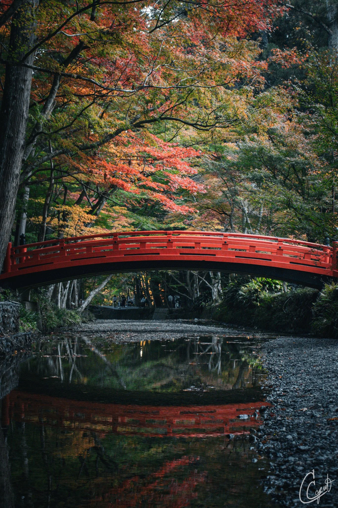 小国神社 - Mori, Shizuoka, Japan