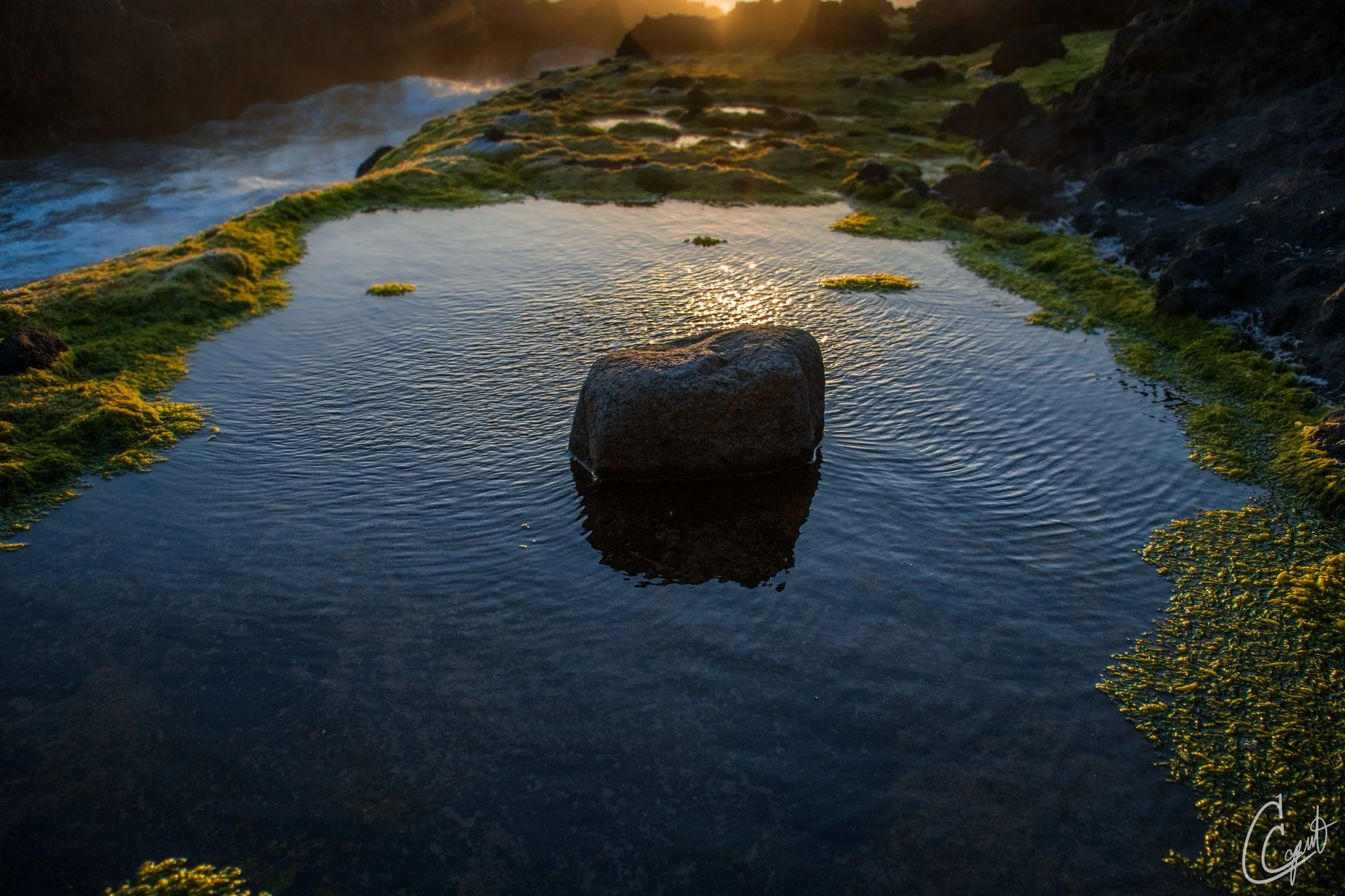 Yachats, Oregon, USA