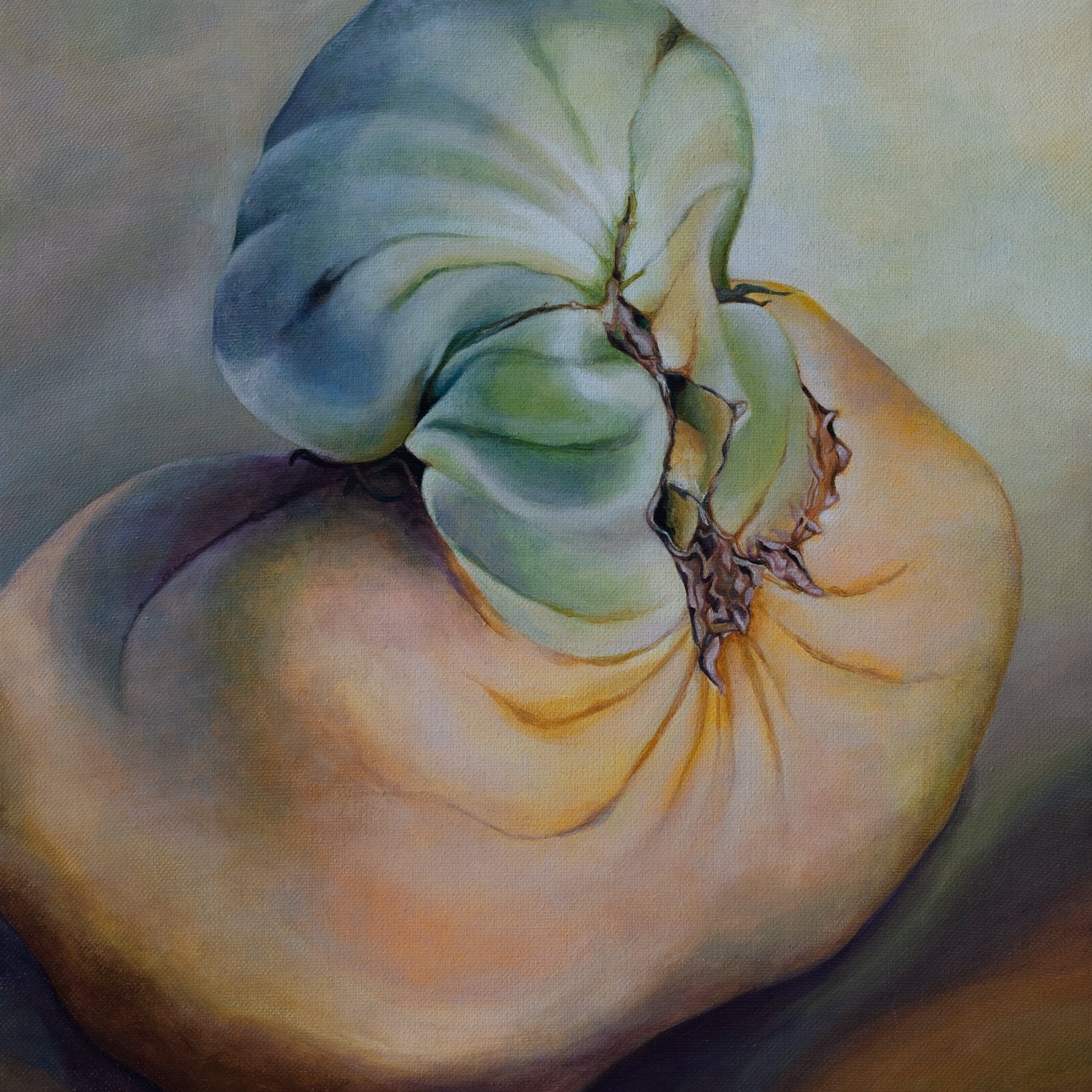 tomato 04.jpg