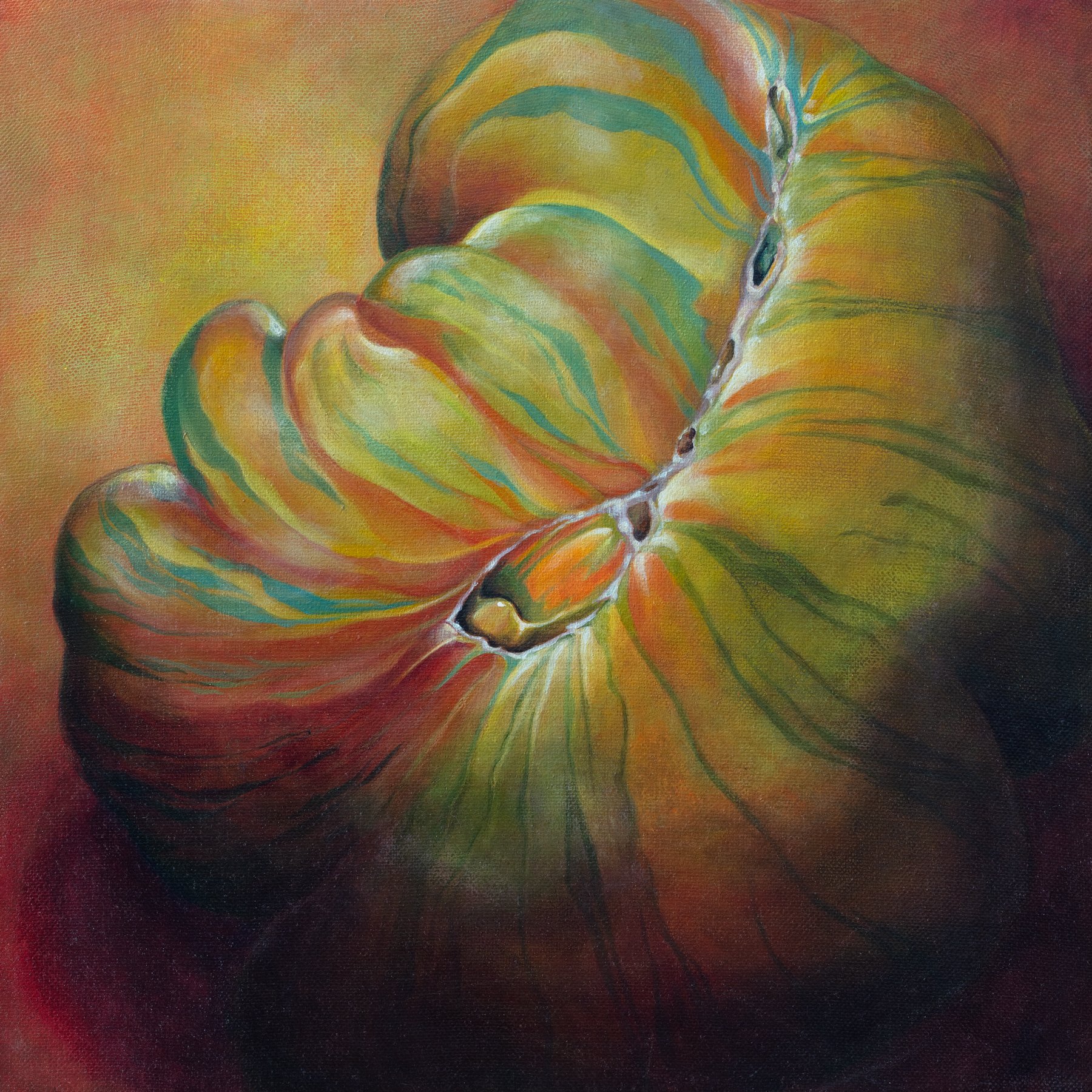 tomato 06.jpg