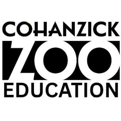 Educational Workshop