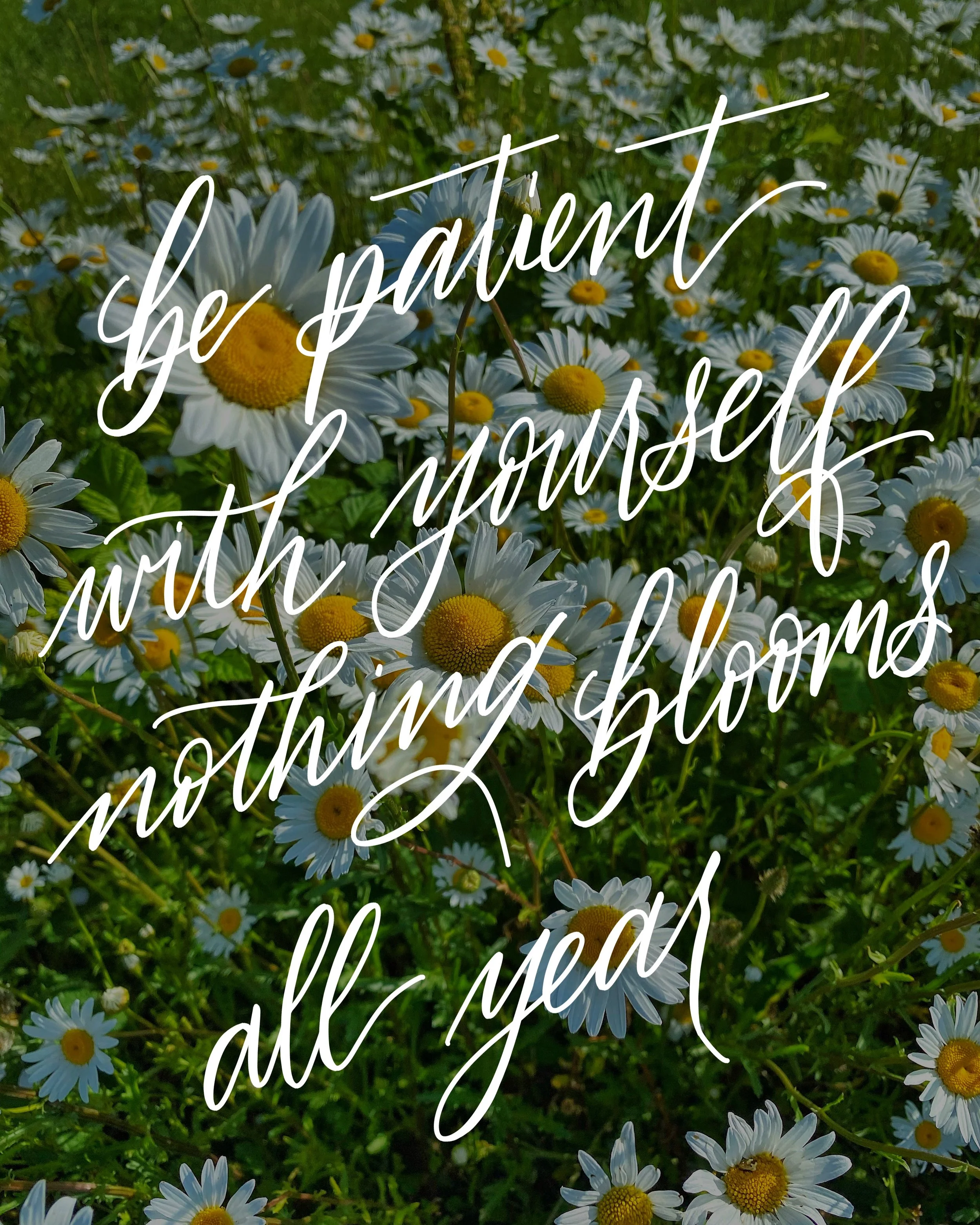 Digital written quote that says, "Be patient with yourself, nothing blooms all year."