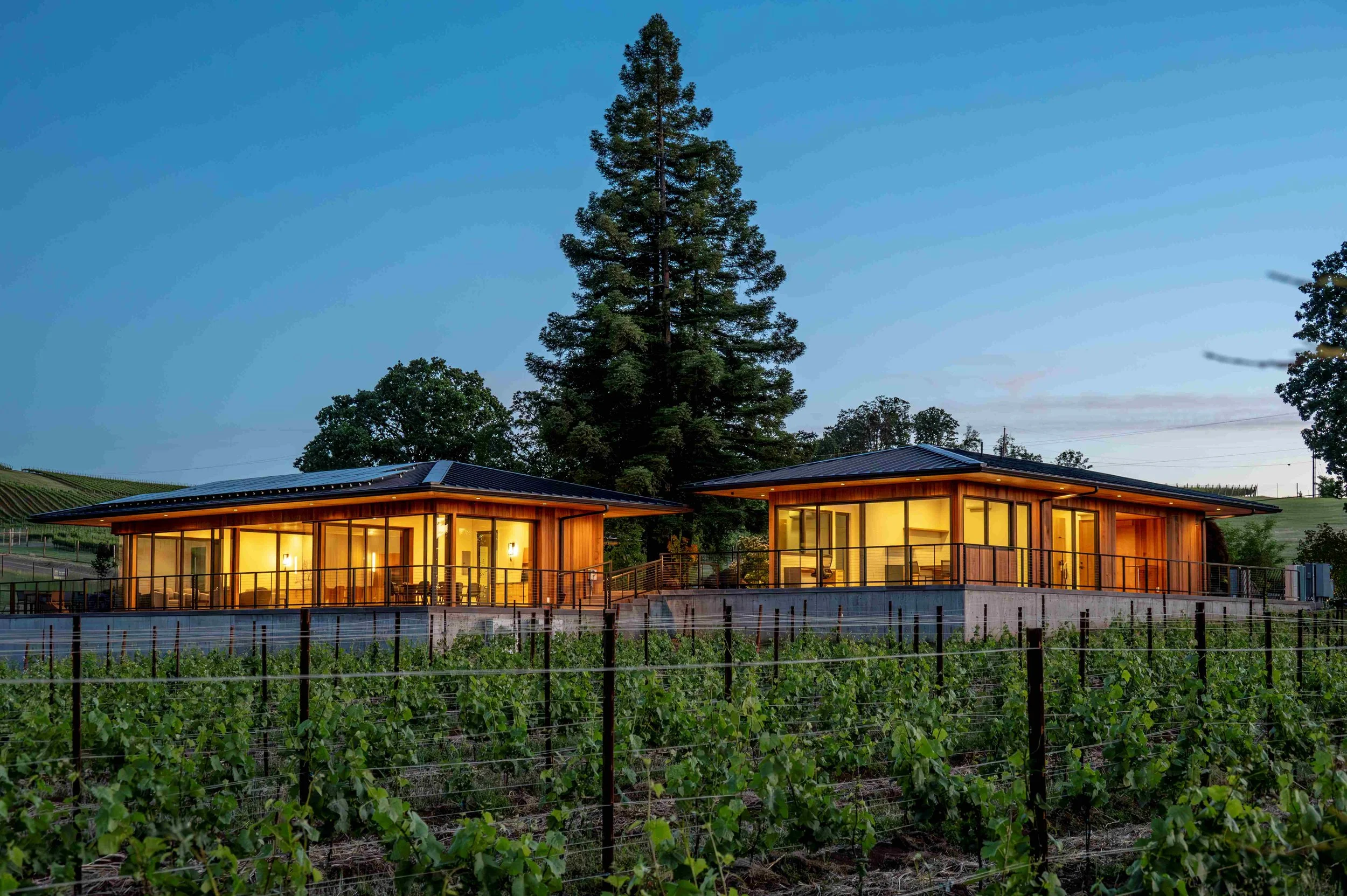 Ambar Release Wine Pick-Up