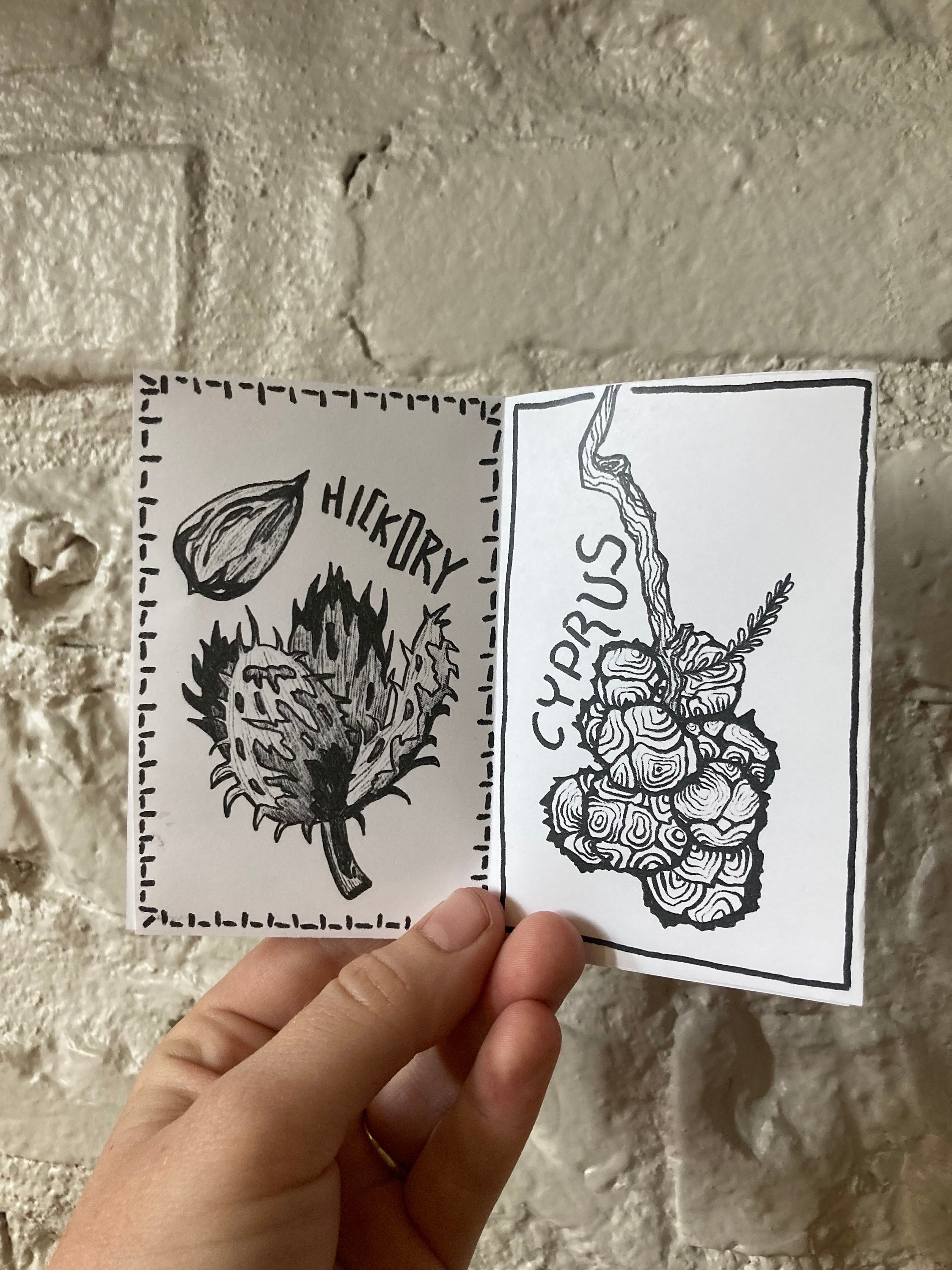 https://i.etsystatic.com/11092828/r/il/f84339/6308463000/il_fullxfull.6308463000_9i1d.jpg