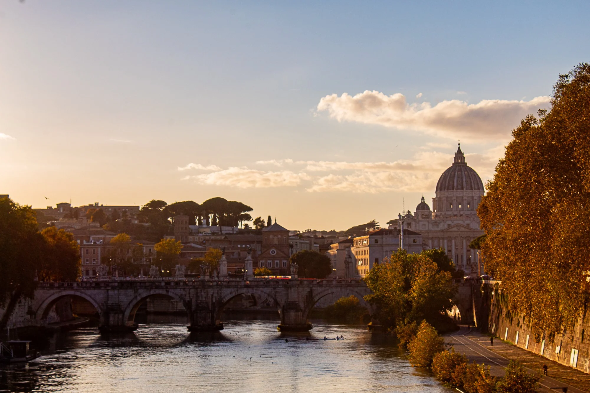 View of St. Peter's Basilica 