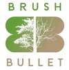 www.brushbullet.com