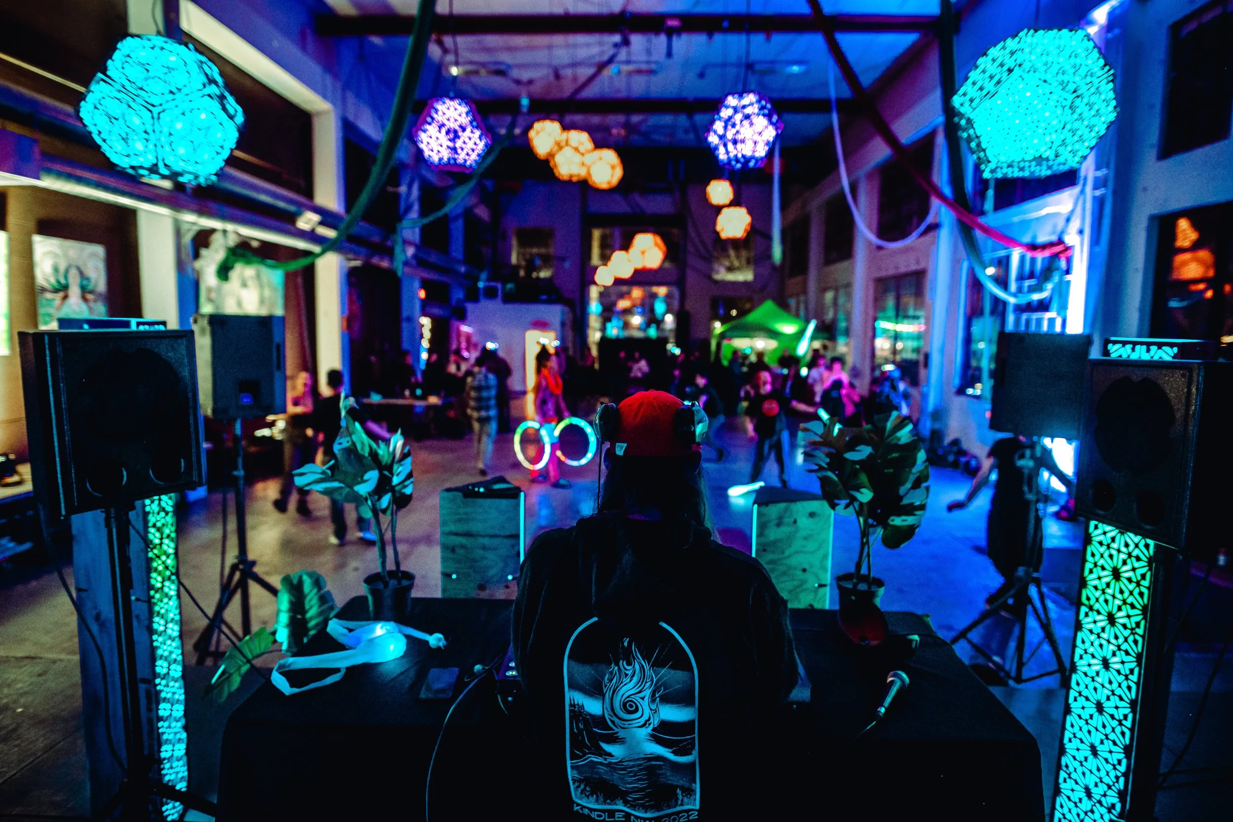 Cats in Space Fundraiser