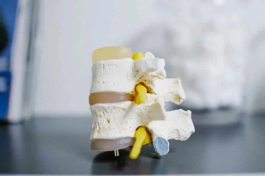 Spine model clinical North Vancouver