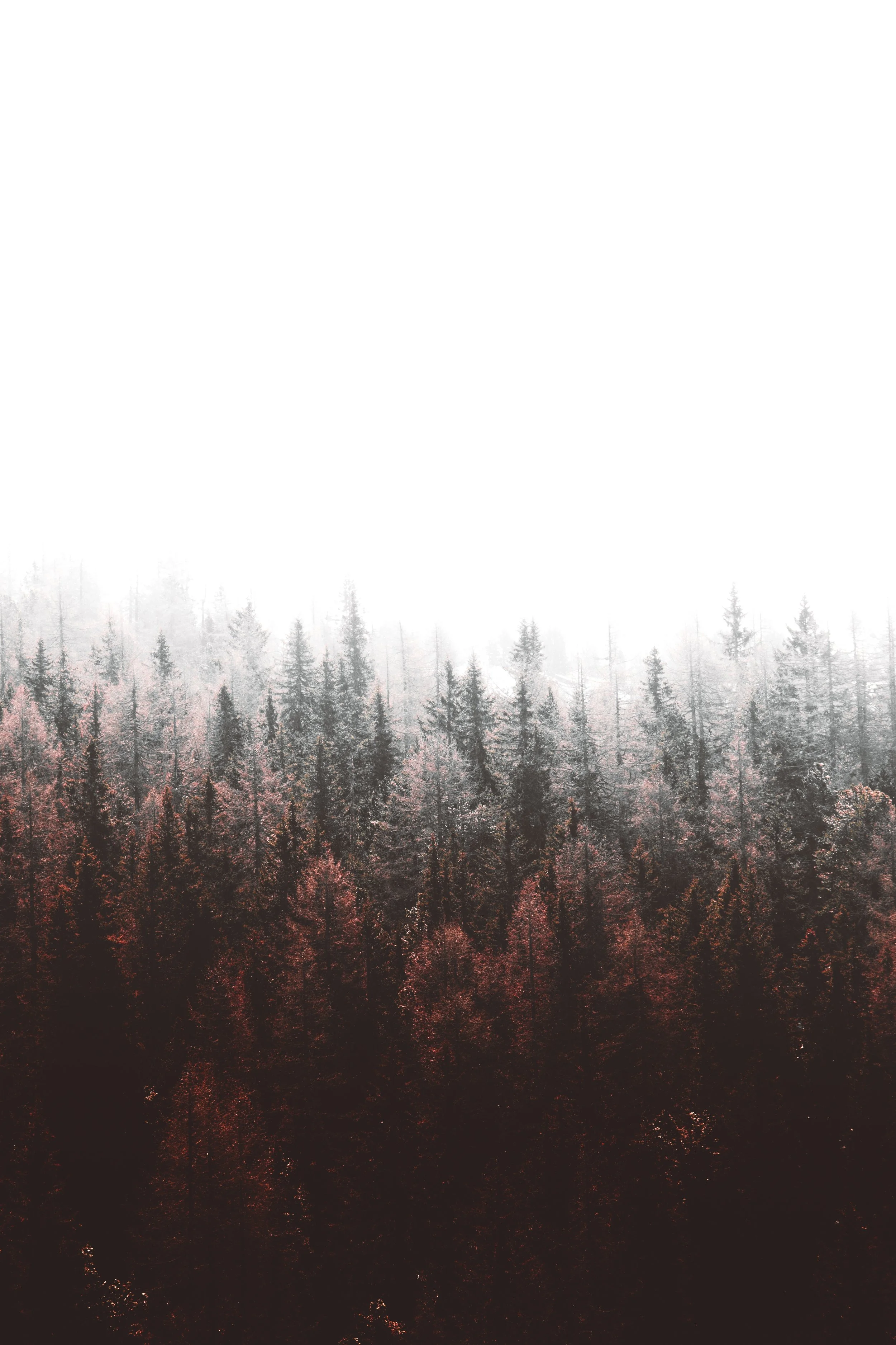 joshua-fuller-727014-unsplash.jpg