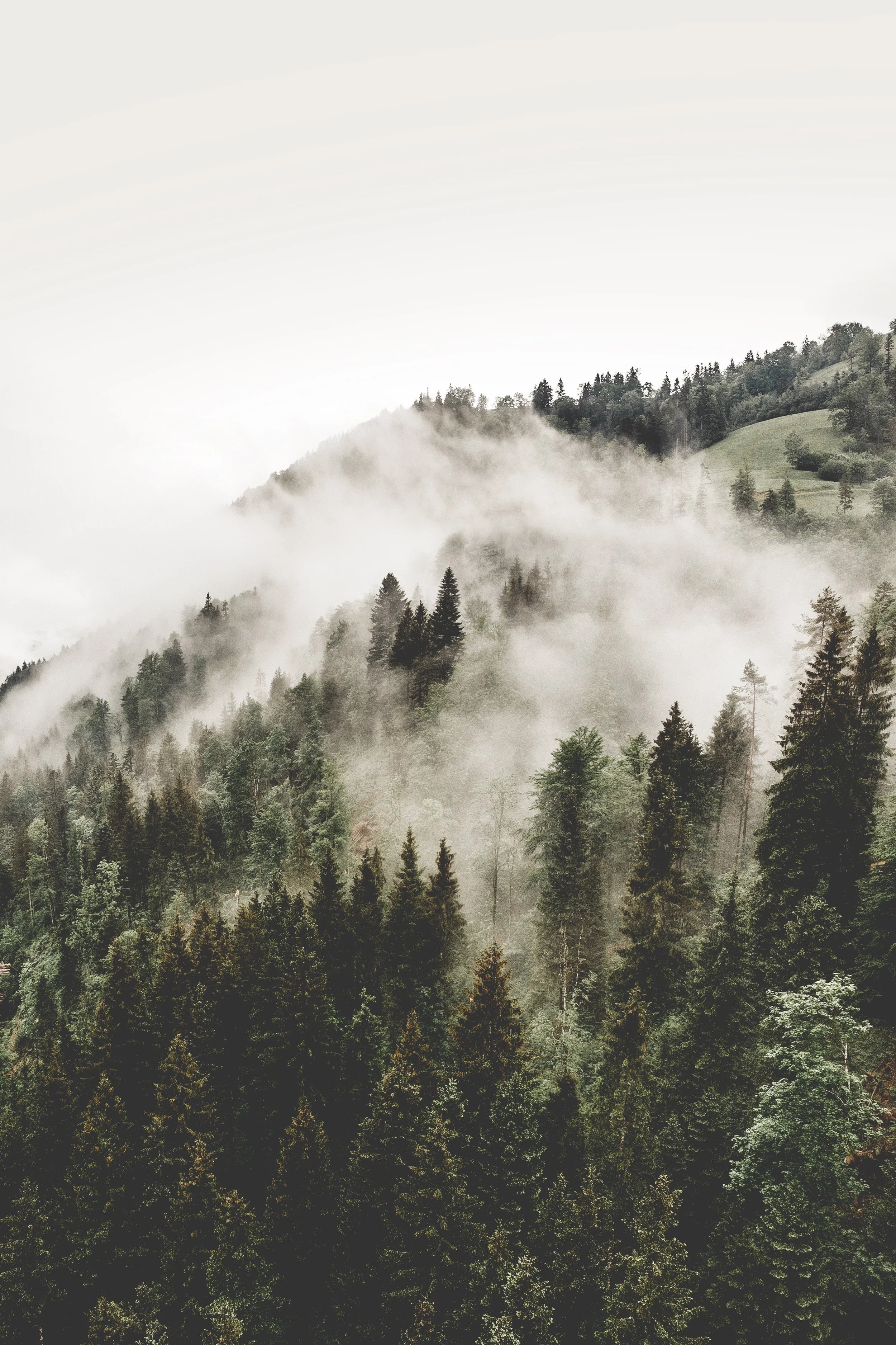 severin-hoin-670043-unsplash.jpg