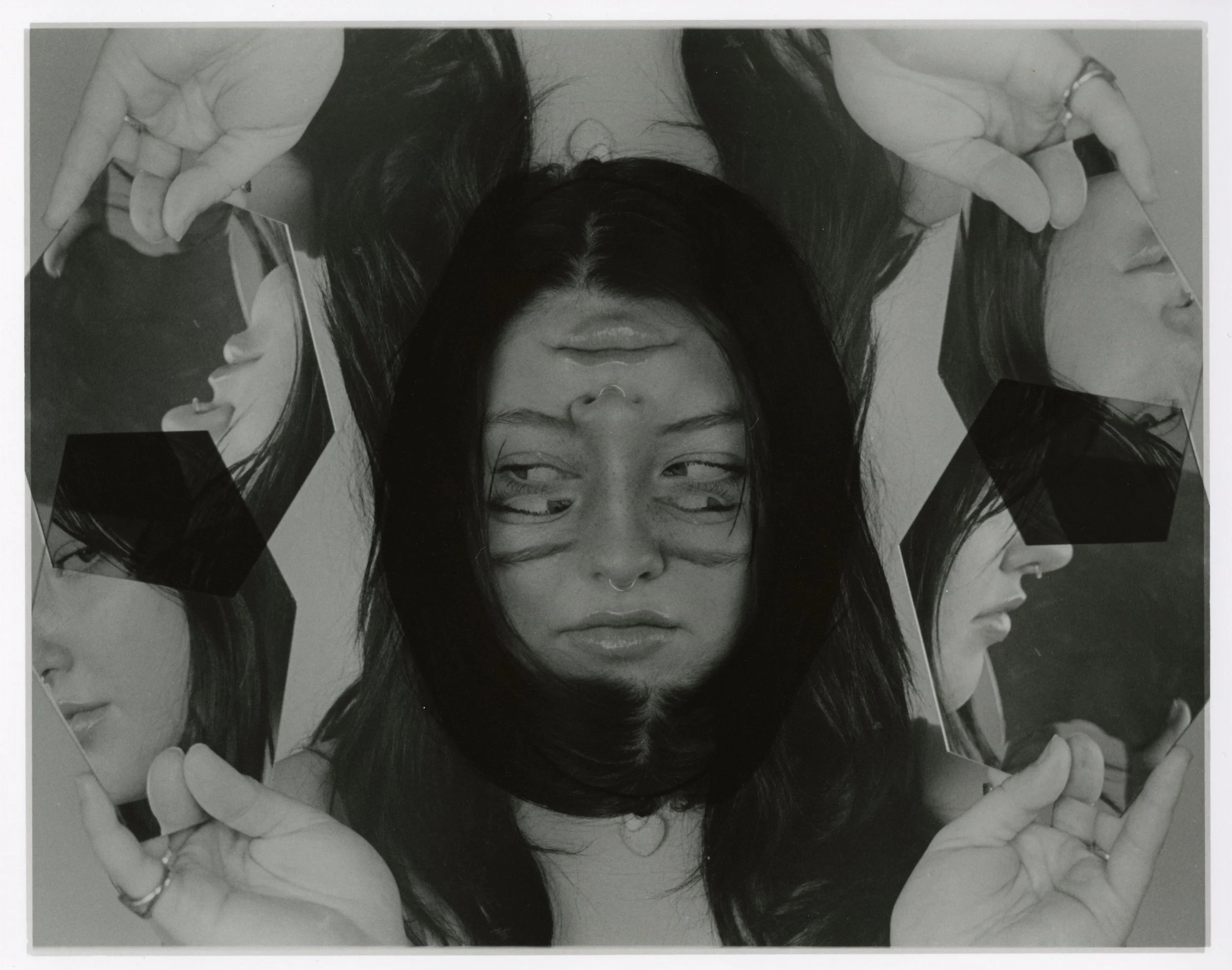 print • spider.JPG