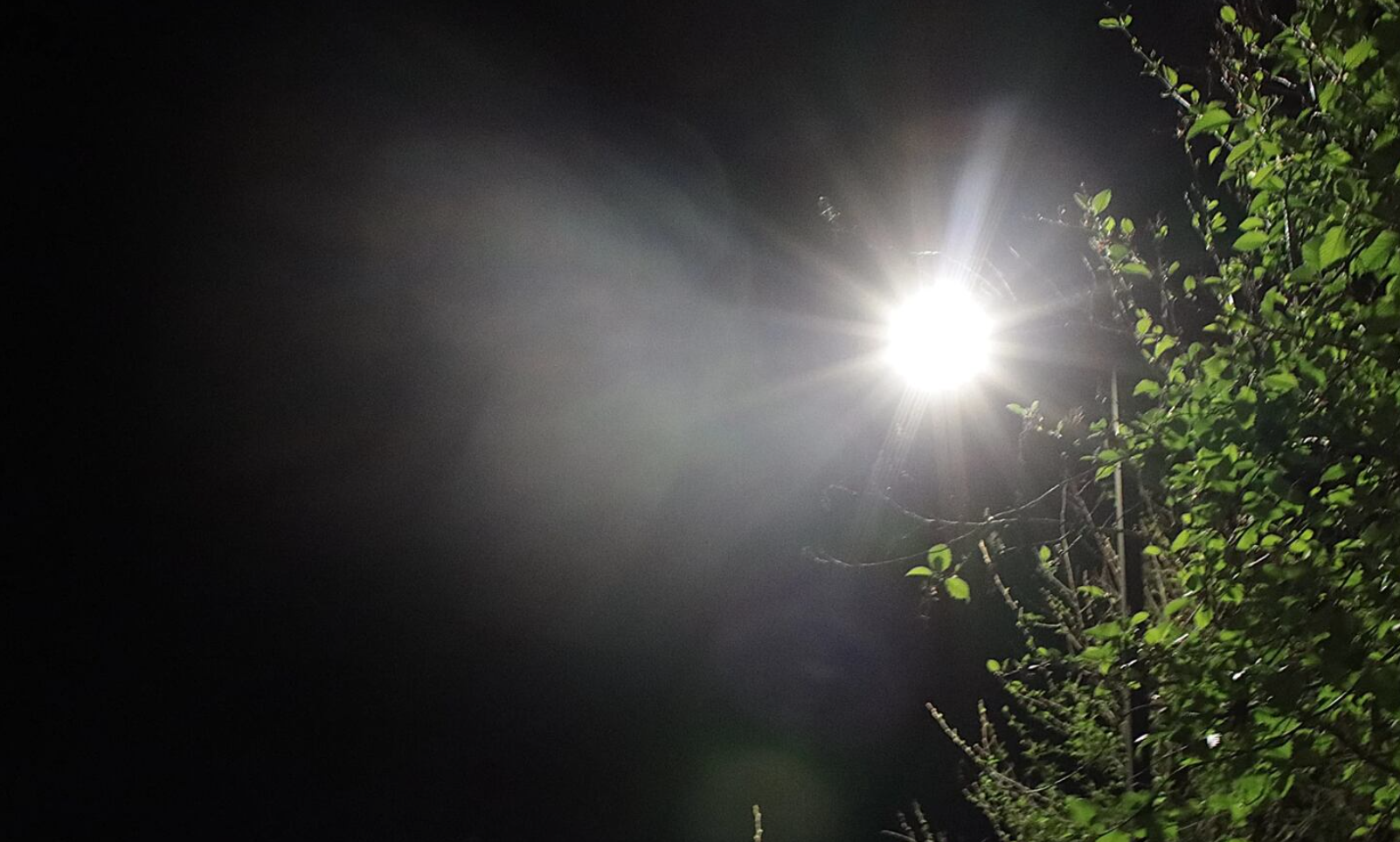 Dark sky advocates urge Eugene to adopt more protections against light pollution