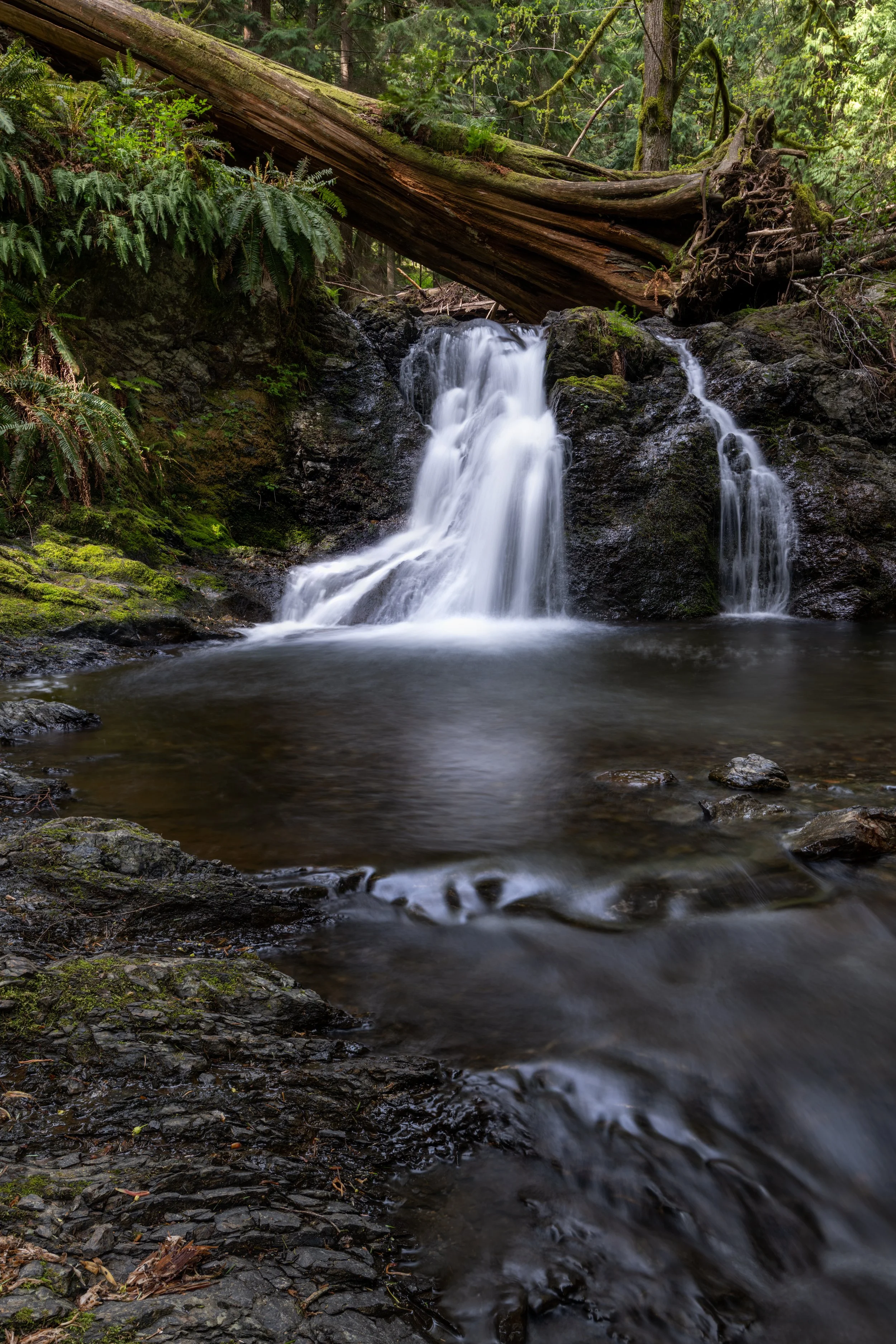 Rustic Falls 2-2.jpg