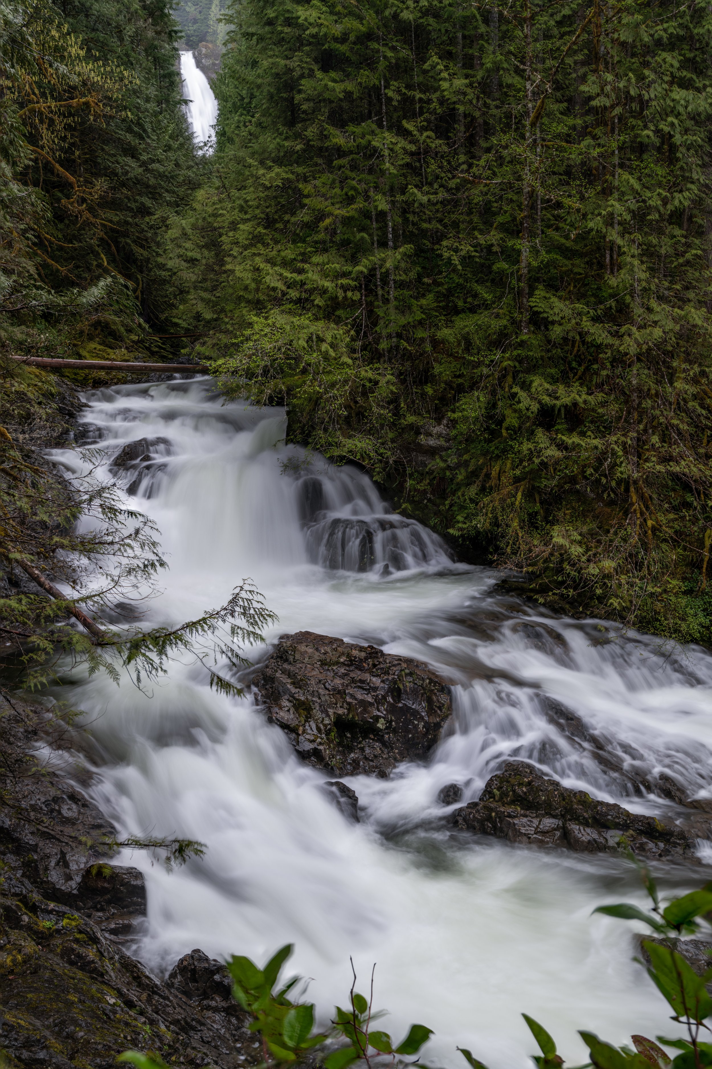 Wallace Falls SuperWide.jpg
