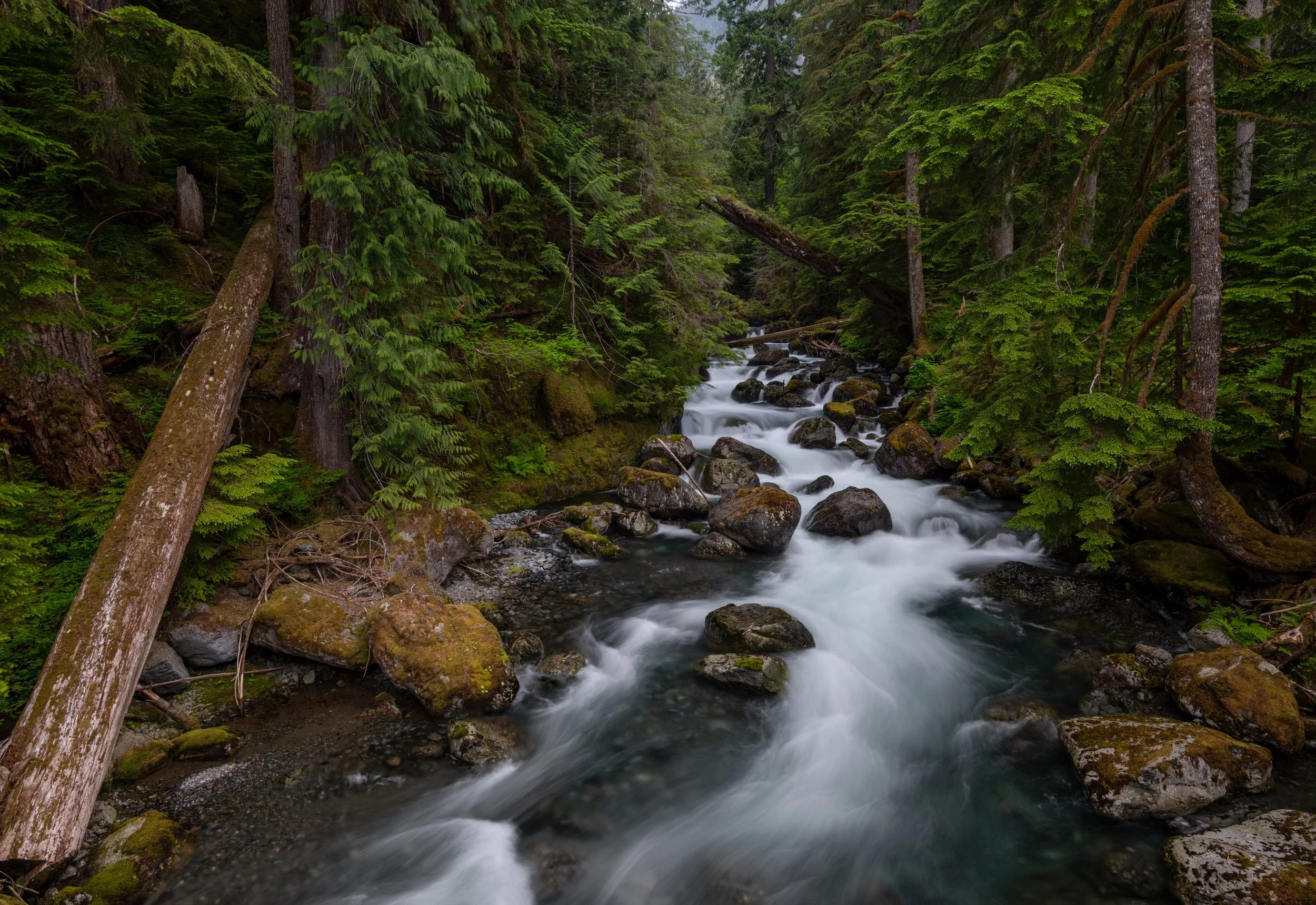 Waterfalls and Riverscapes