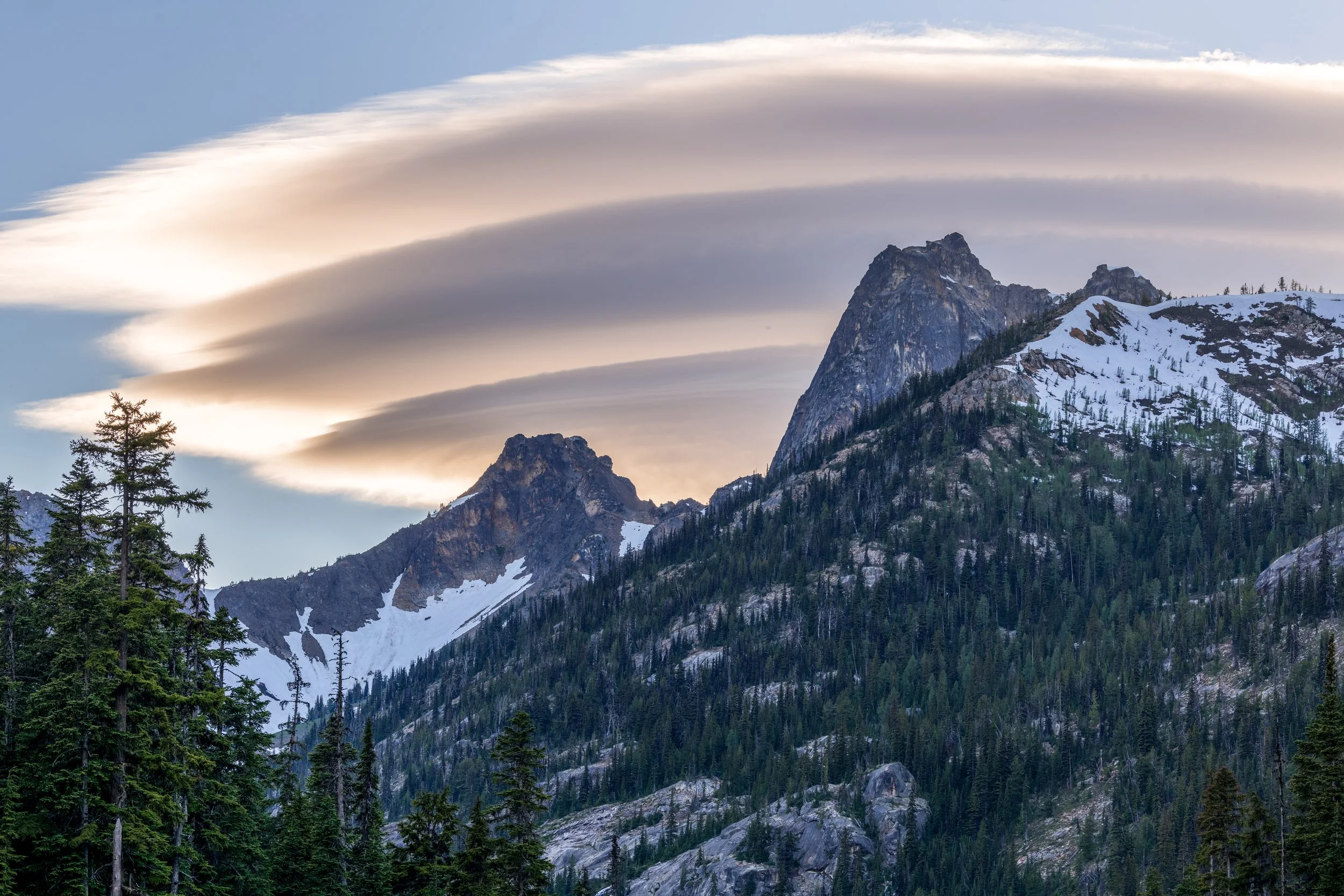 Cuthroat Lenticular.jpg