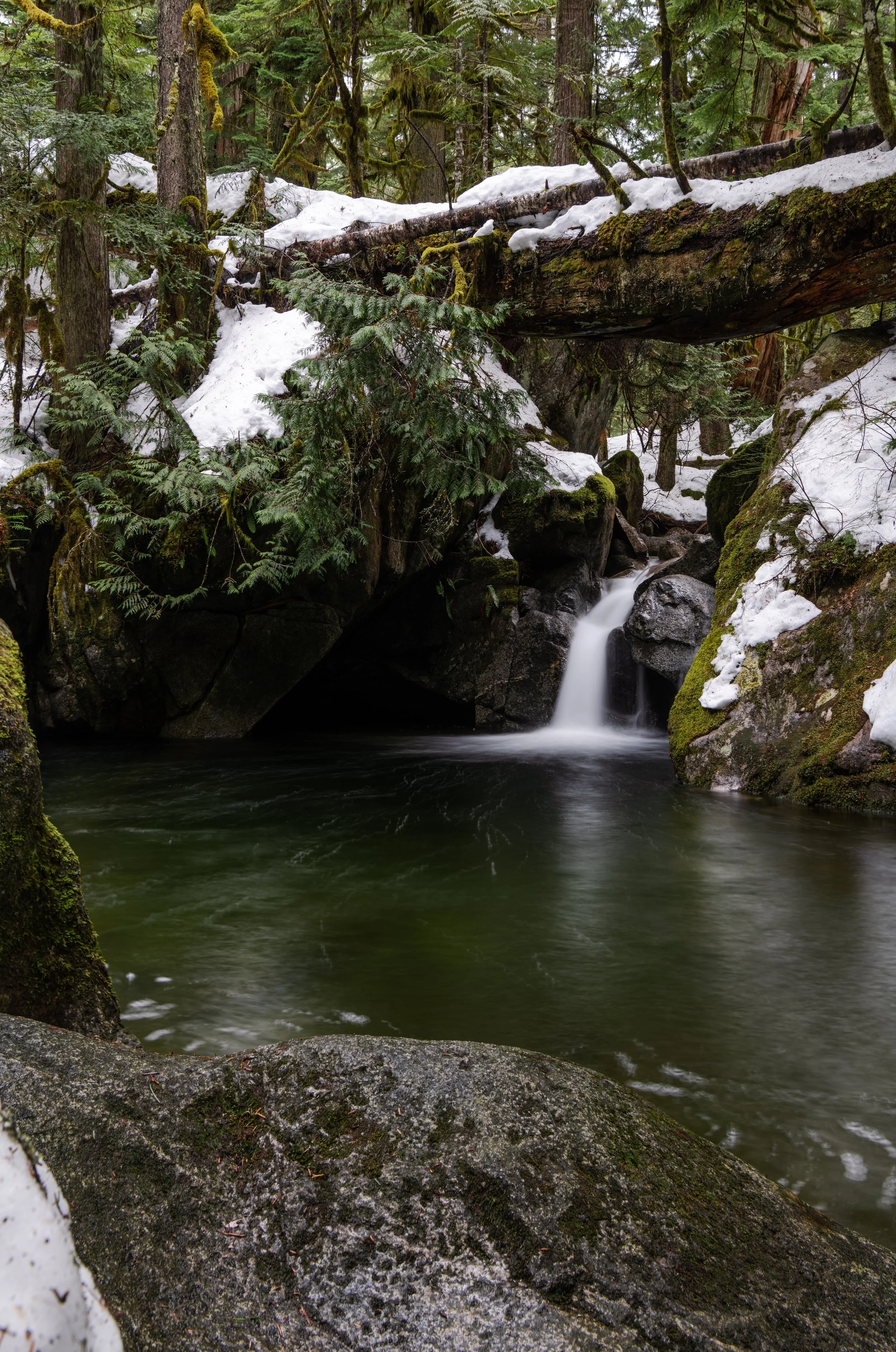 More Deception Little-5.jpg