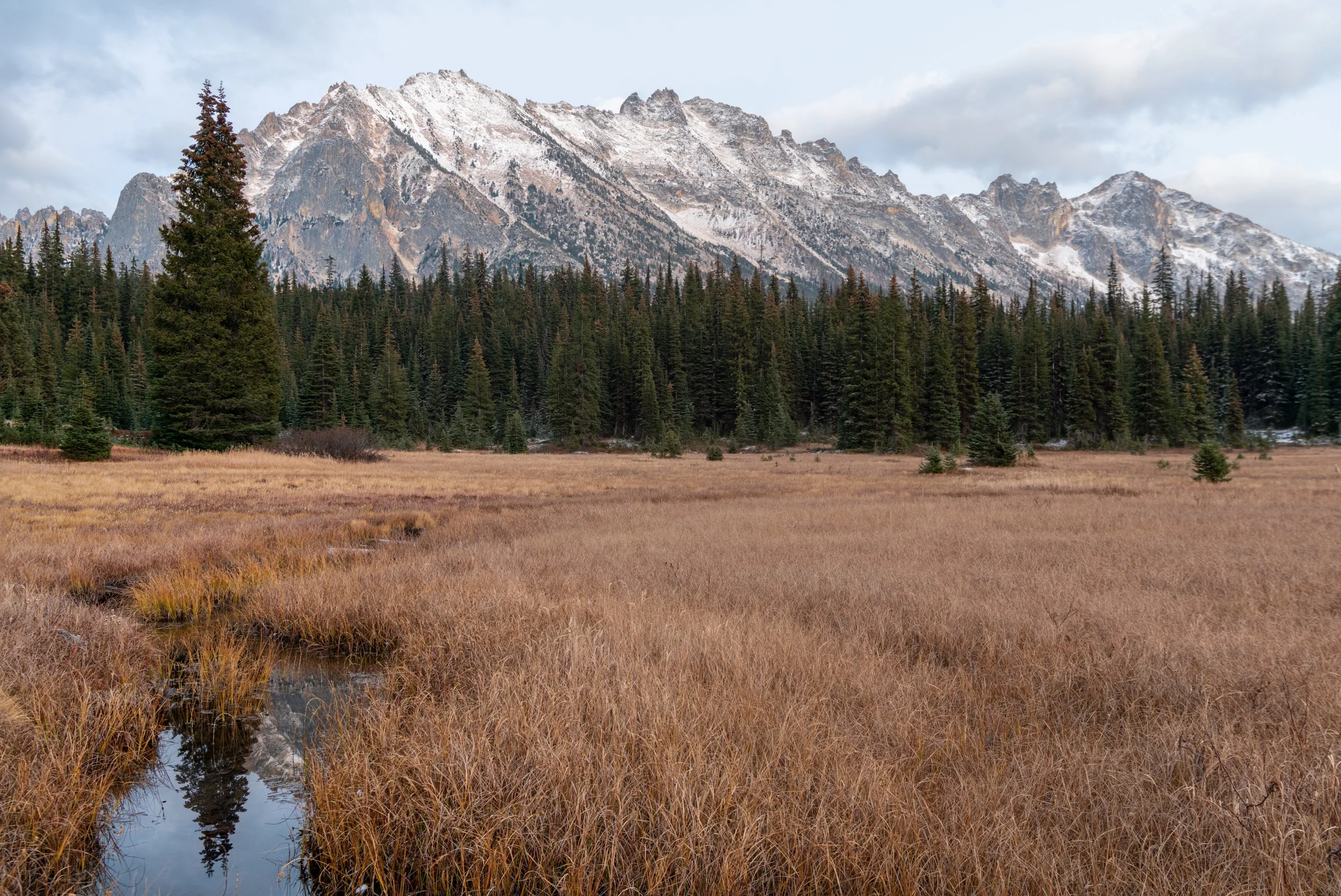 Autumn Meadow 2x3 Screen Sharpened.jpg