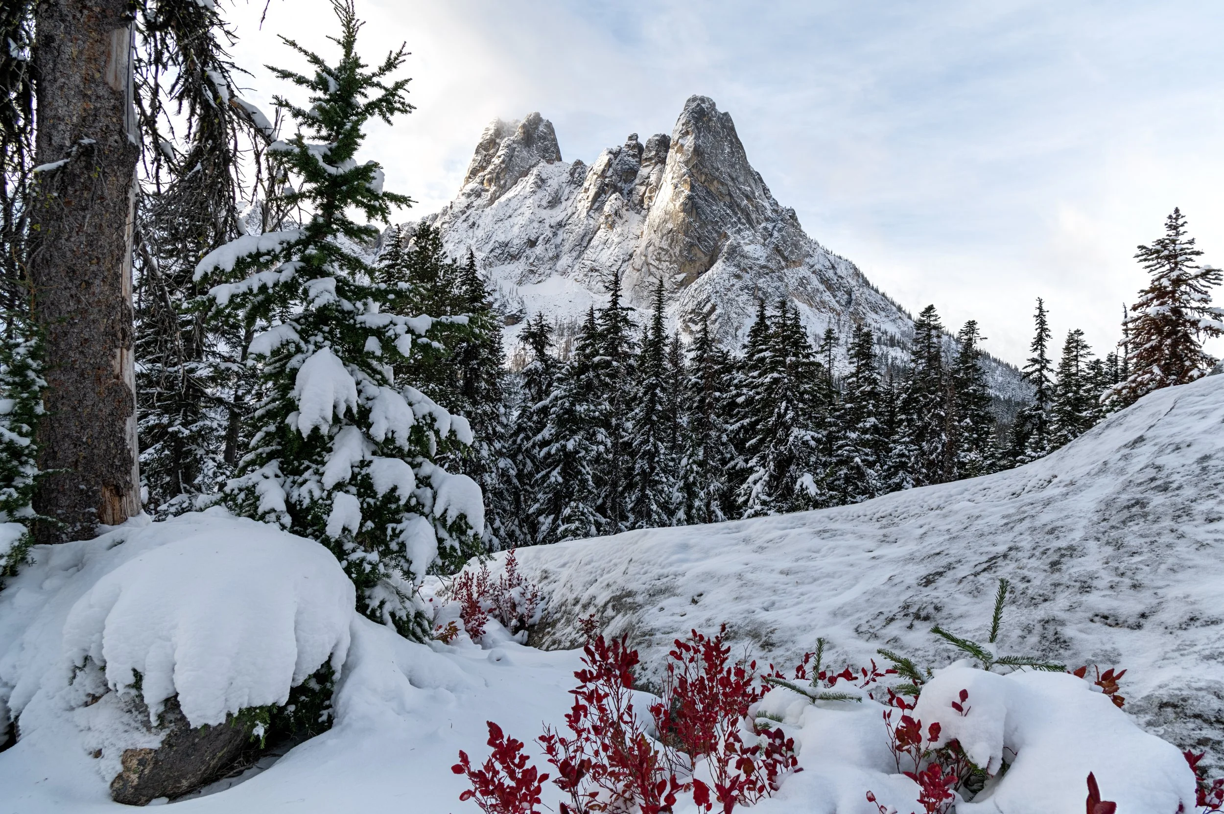 Liberty Bell Winter Onset.jpg