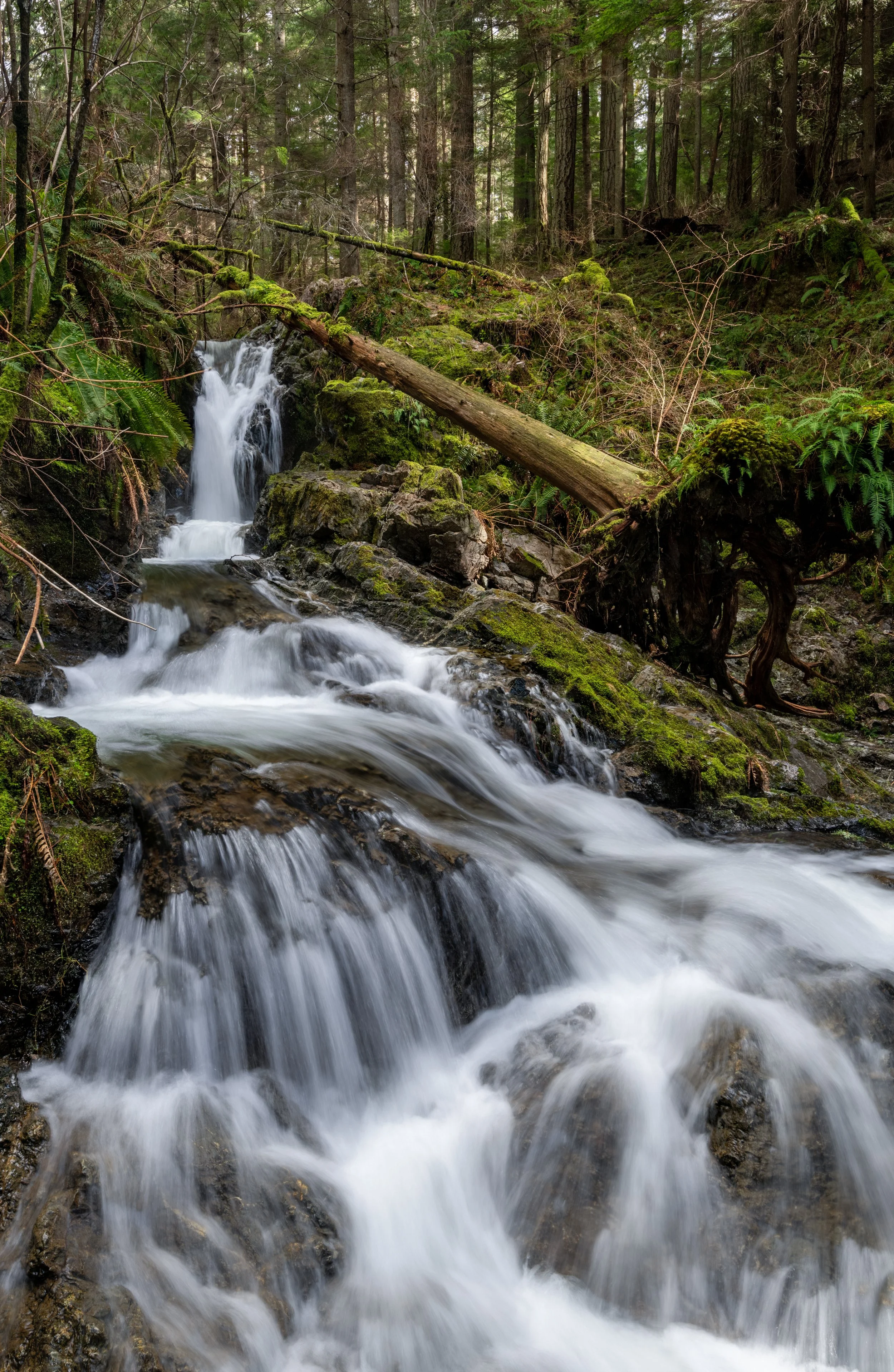 Cavern Falls Wide.jpg