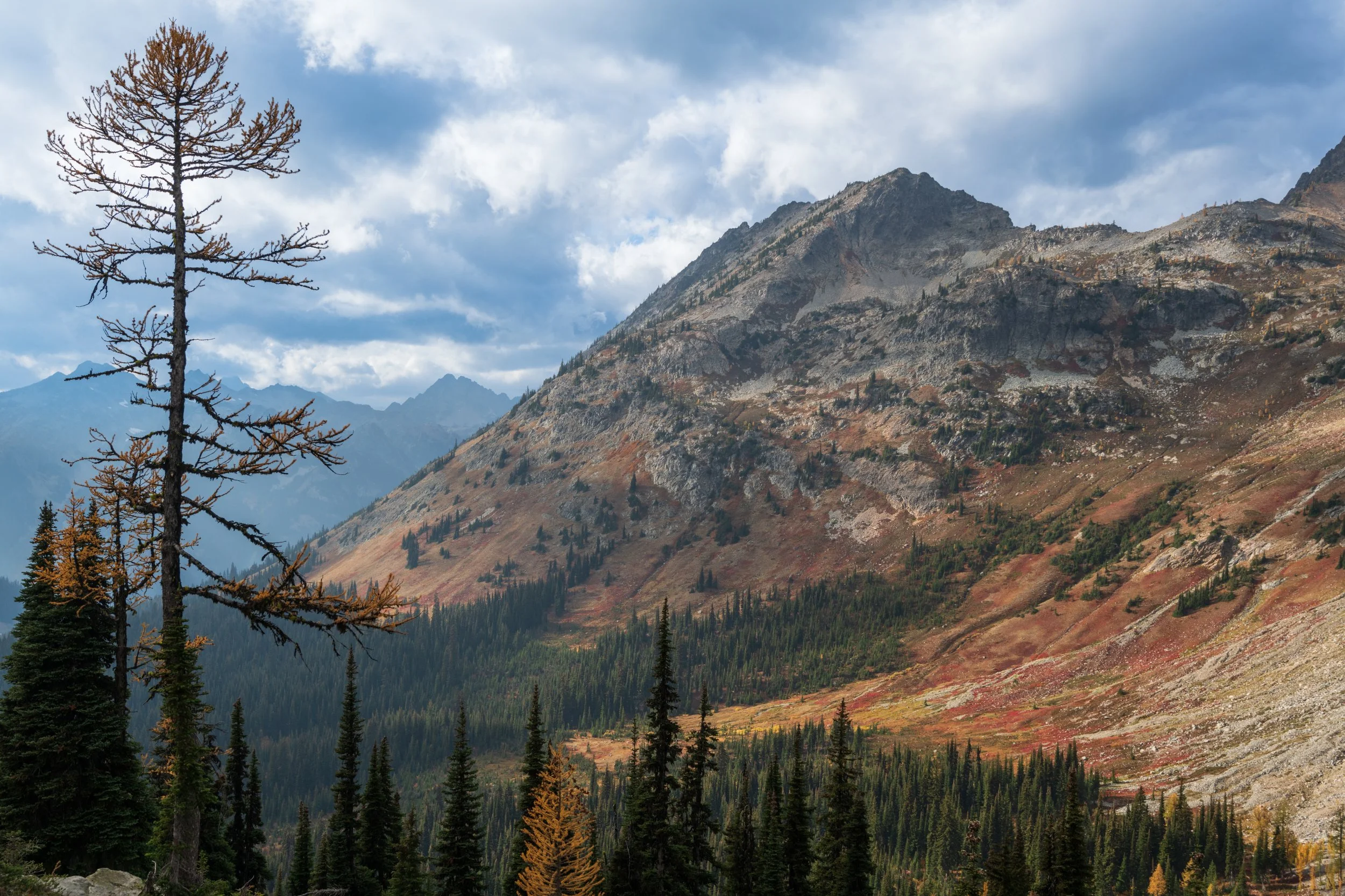North Cascades Autumn Afternoon.jpg
